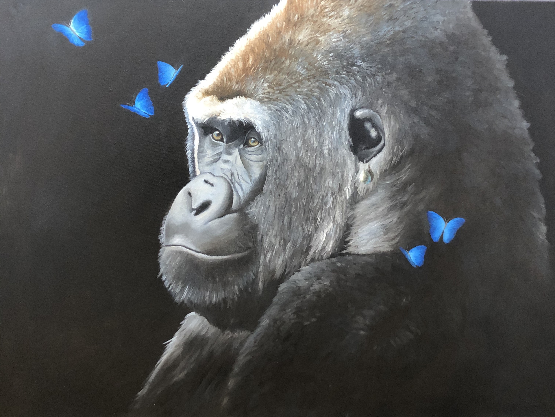Gorilla with a Pearl Earring  by Adam Thomas