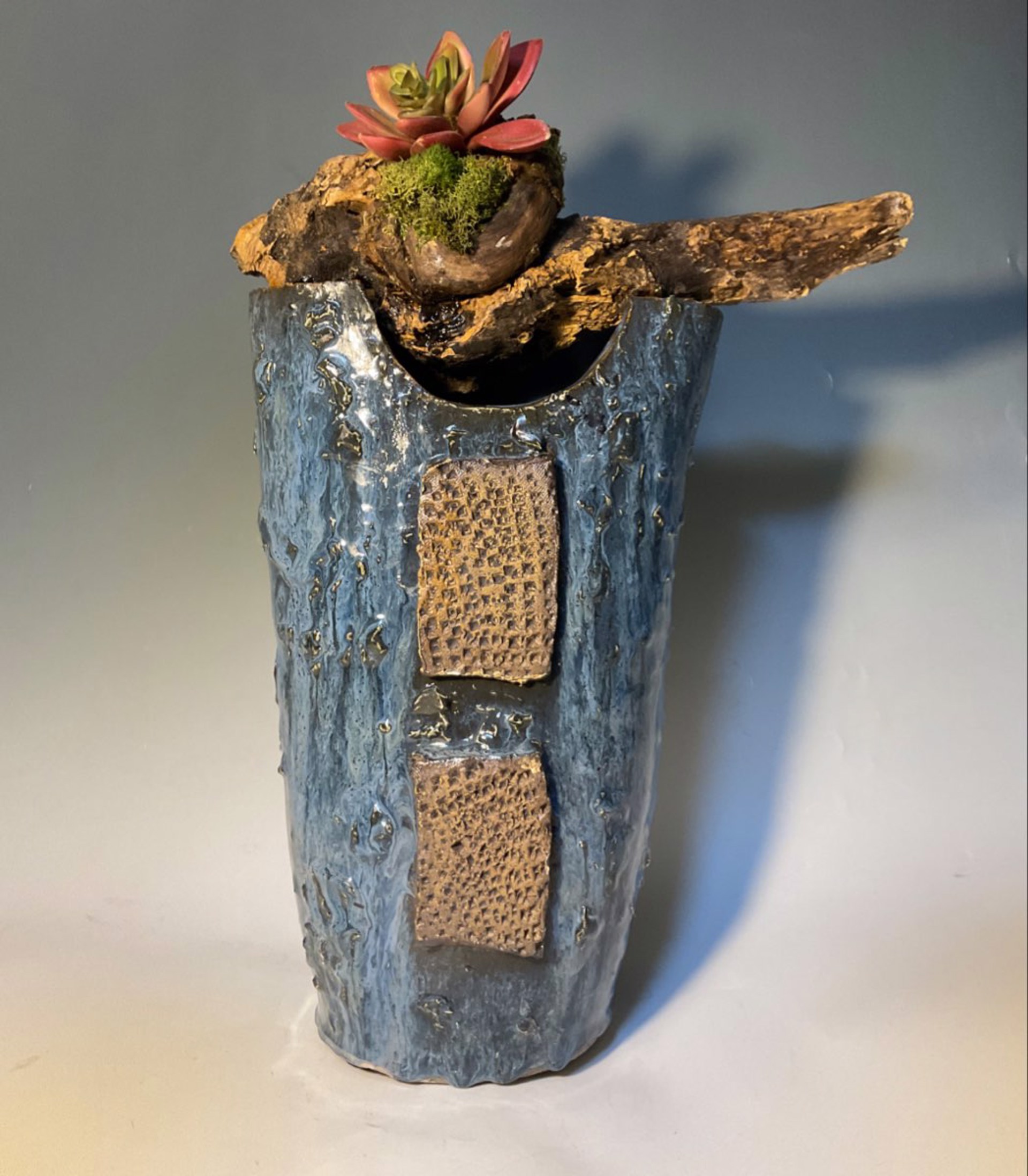 Vessel with Succulent by Anna M. Elrod