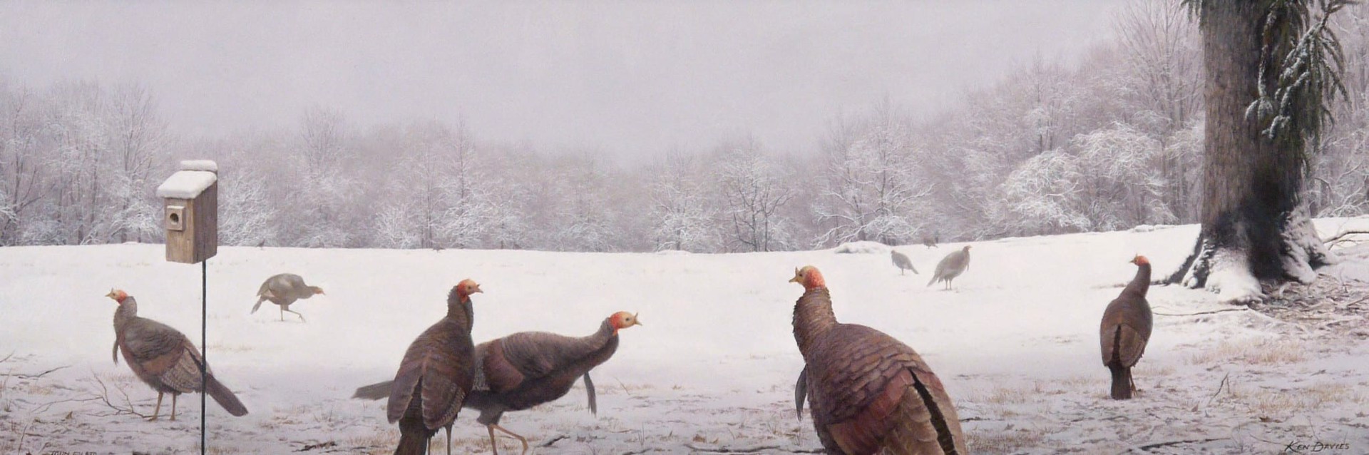 Wild Turkeys on Walnut Hill by John Falato