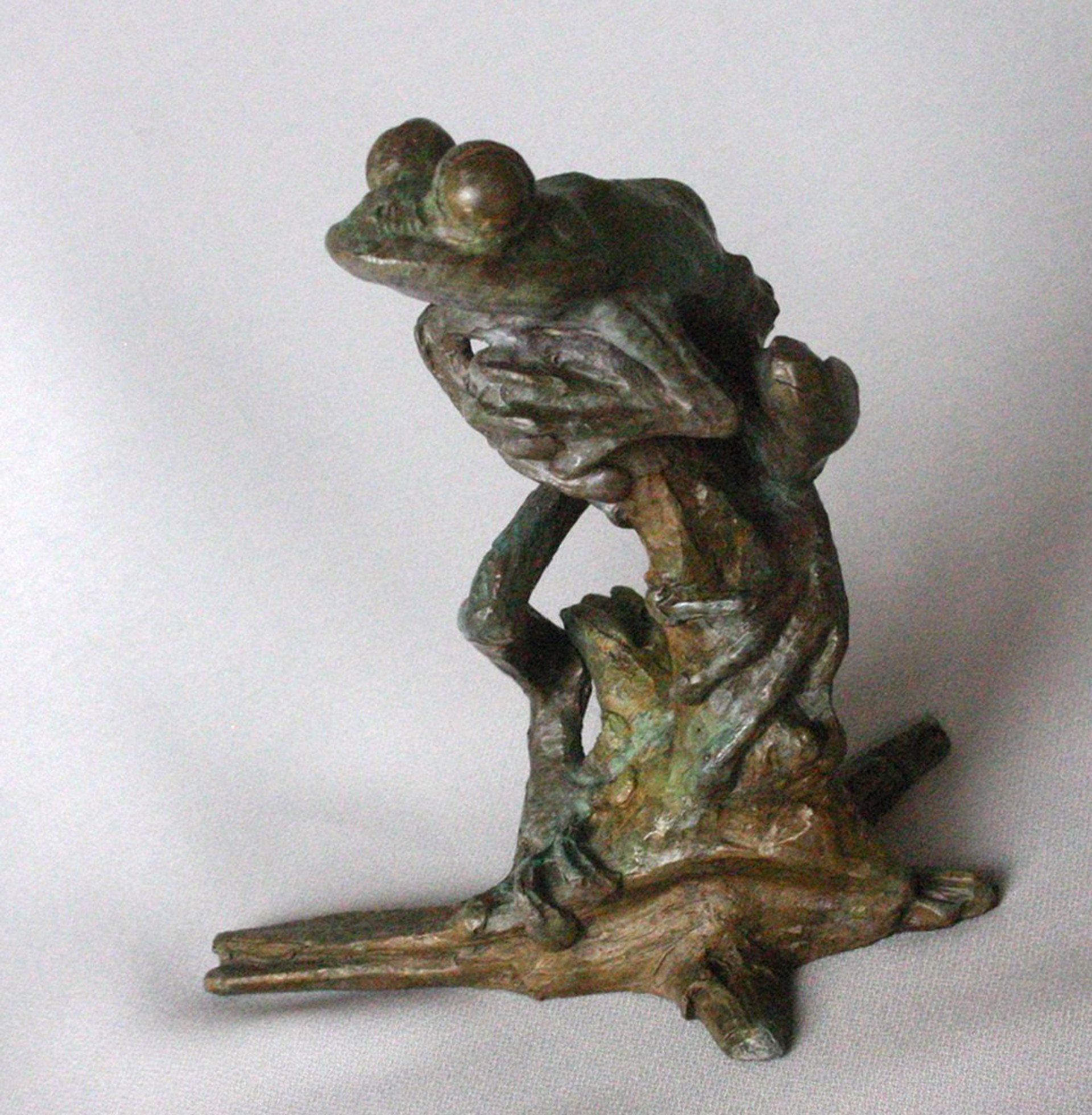 Tree Frog B by Dan Chen