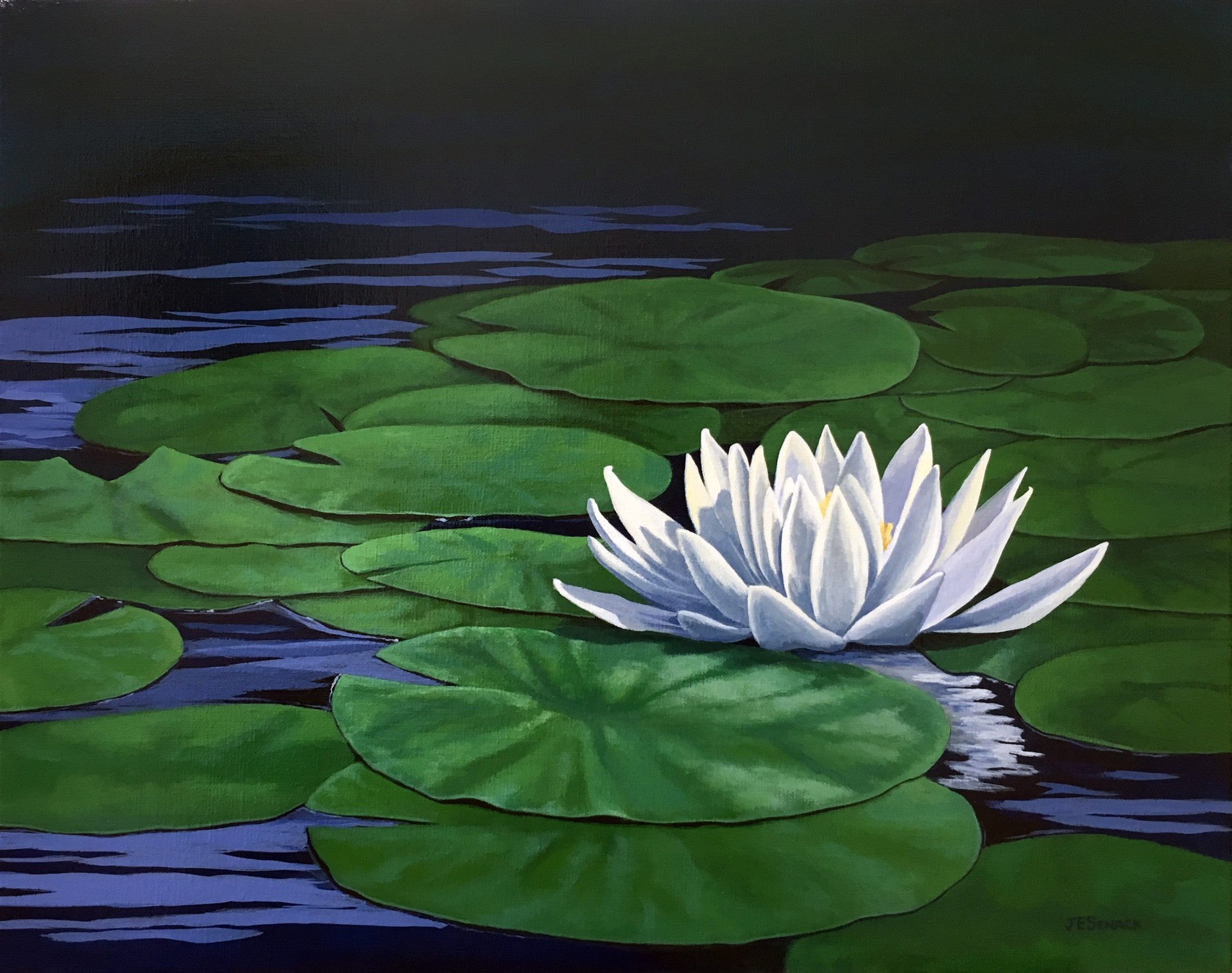 Water Lily by J.Elaine Senack