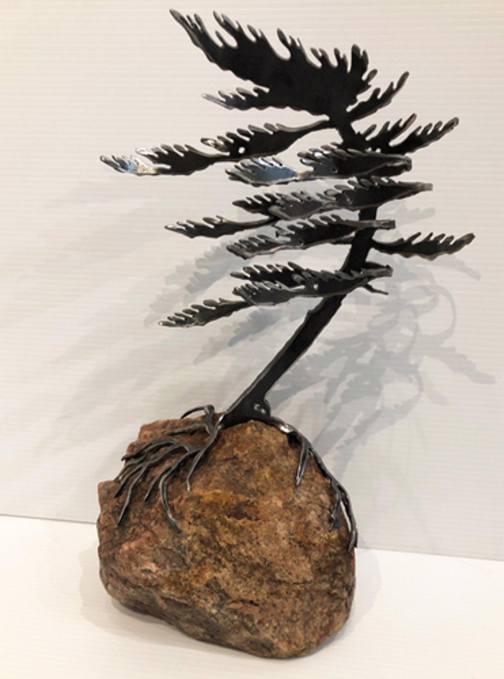 Windswept Pine 659496 by Cathy Mark