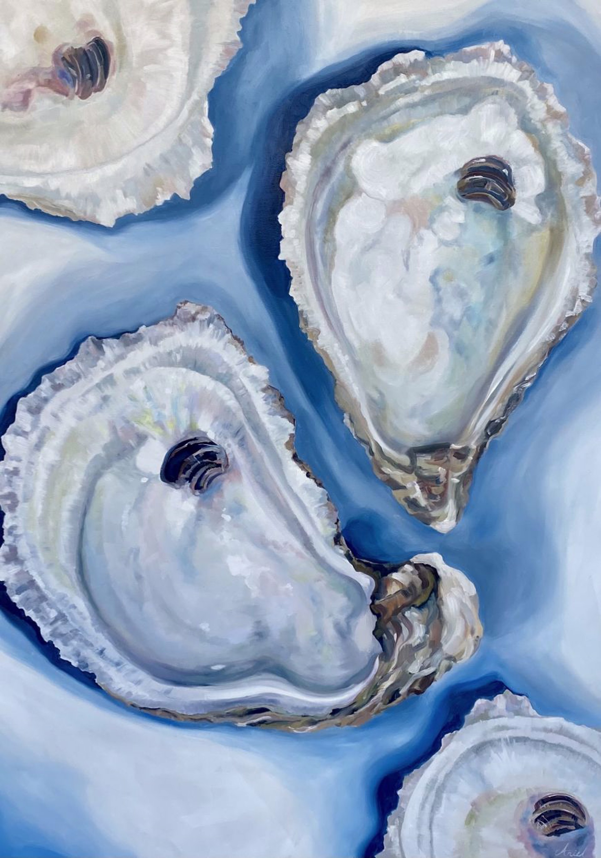 Cold Oyster by Ariel Harder