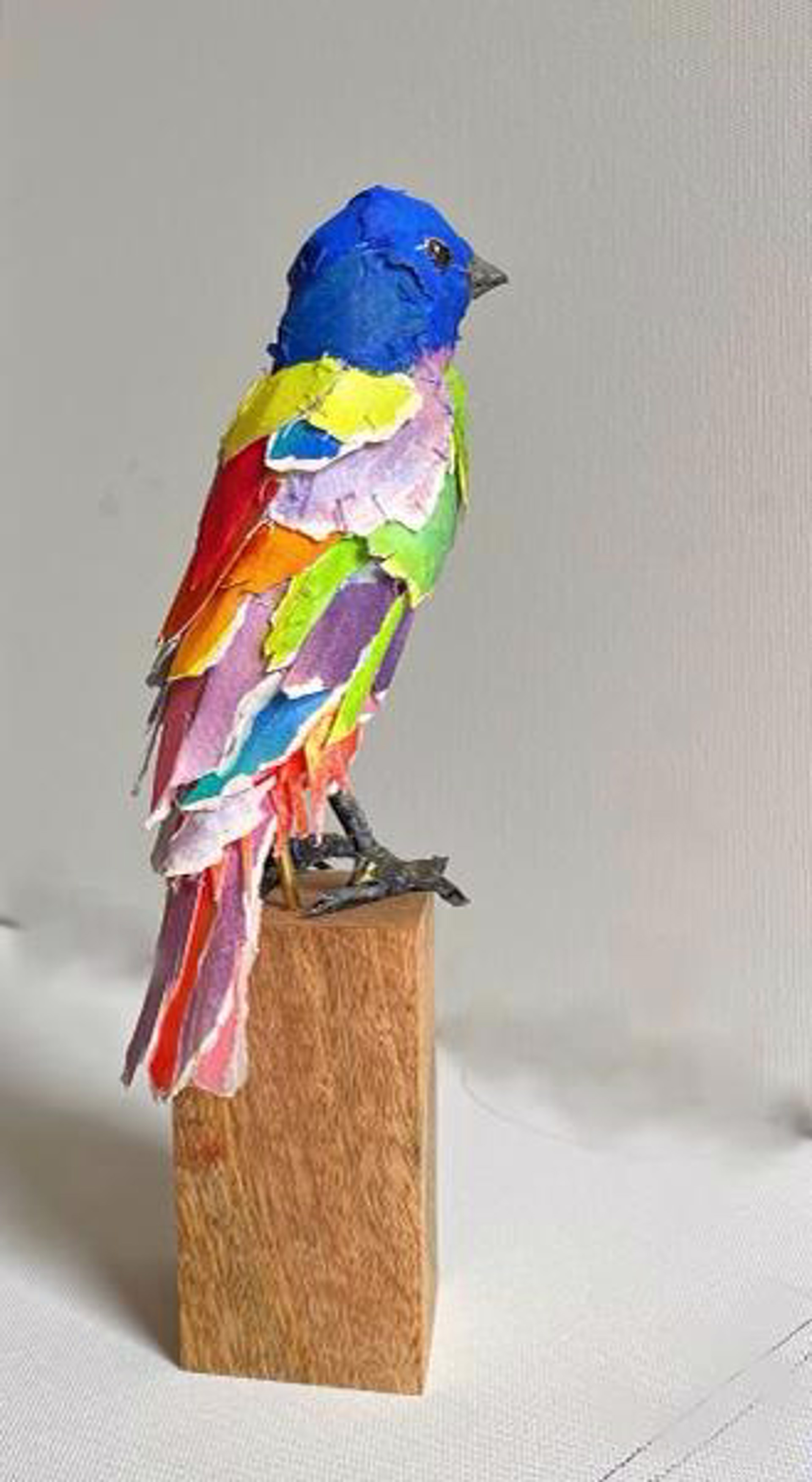 Colorful Character - Painted Bunting by Cathy Rowten