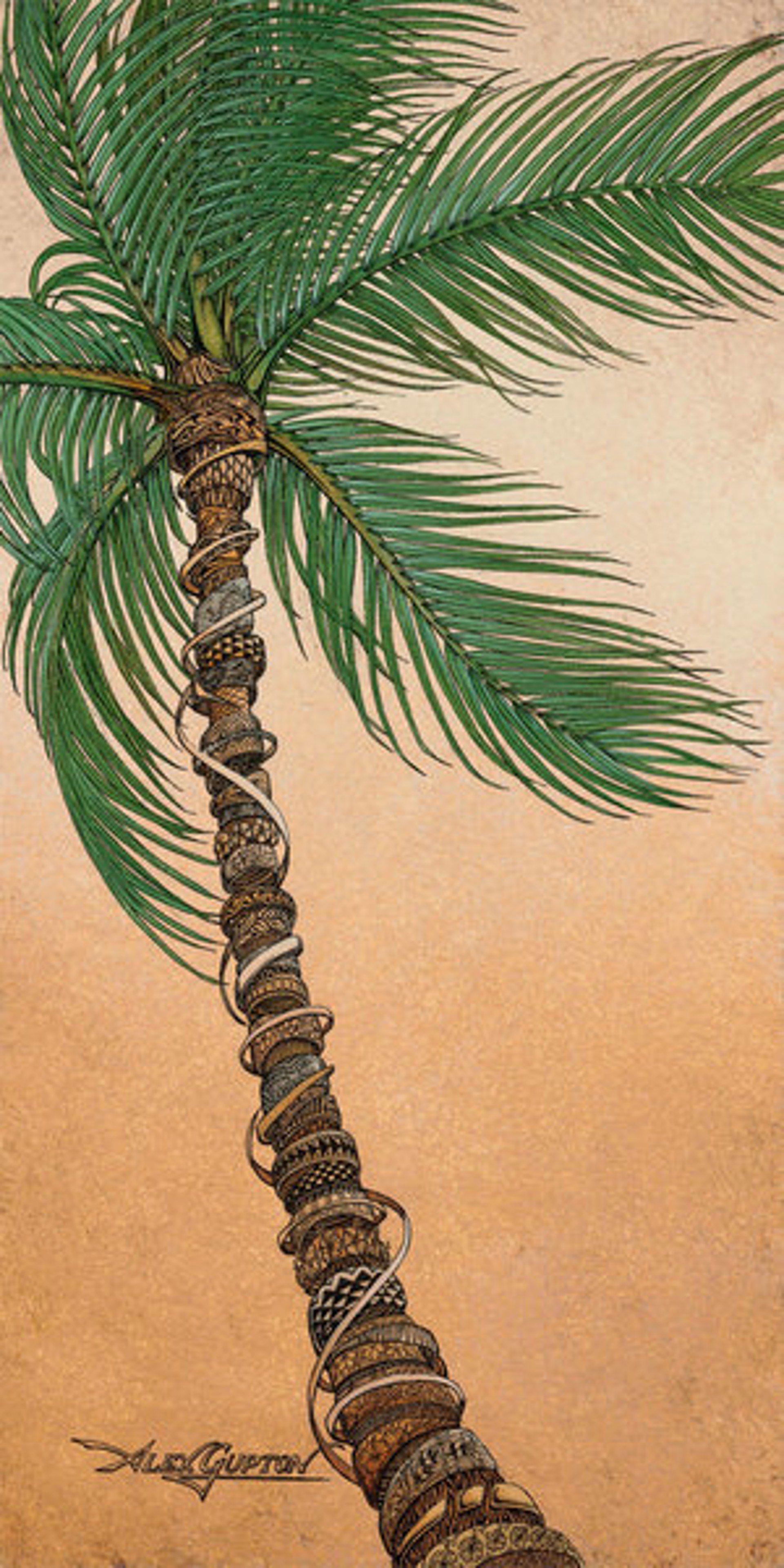 Palm by Alex Gupton