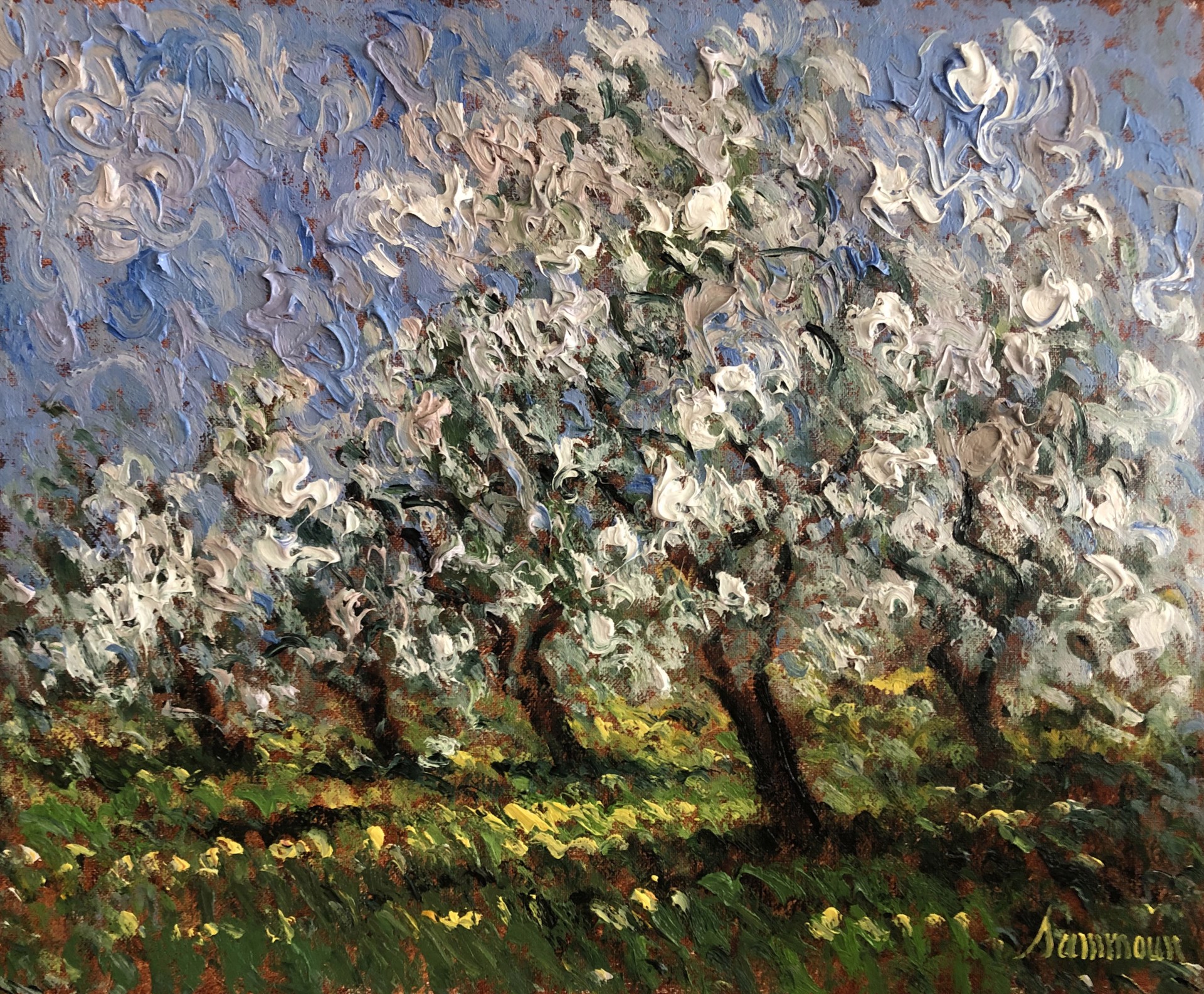 Apple Blossom by Samir Sammoun
