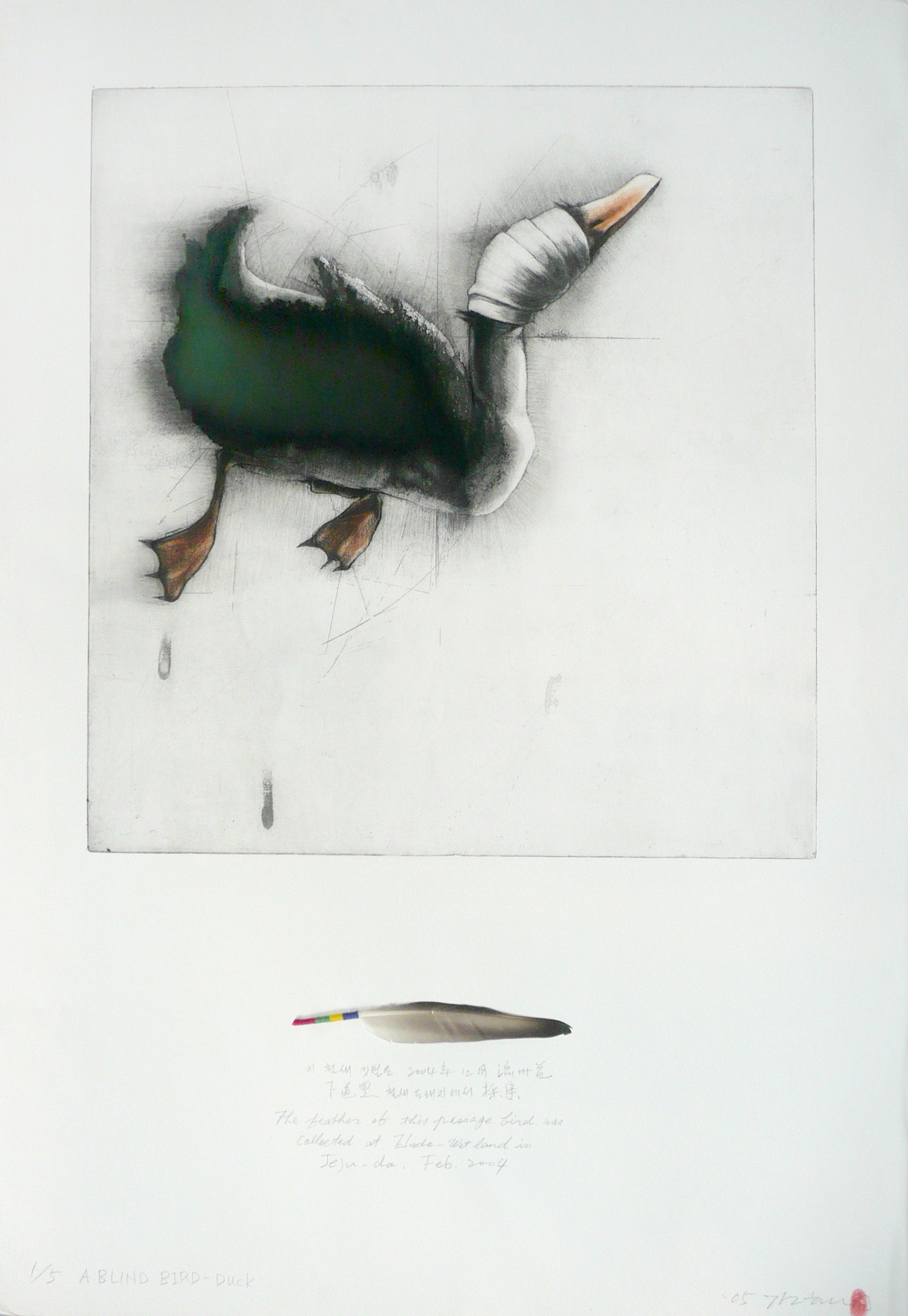 A Blind Bird: Duck (1/5) by Gilchun Koh