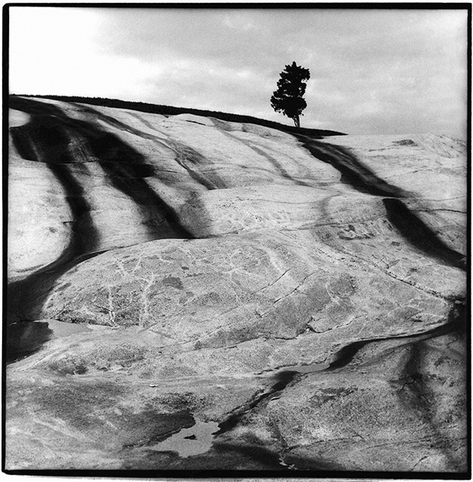 Landscape Stained Rocks #1 BW by Timothy White