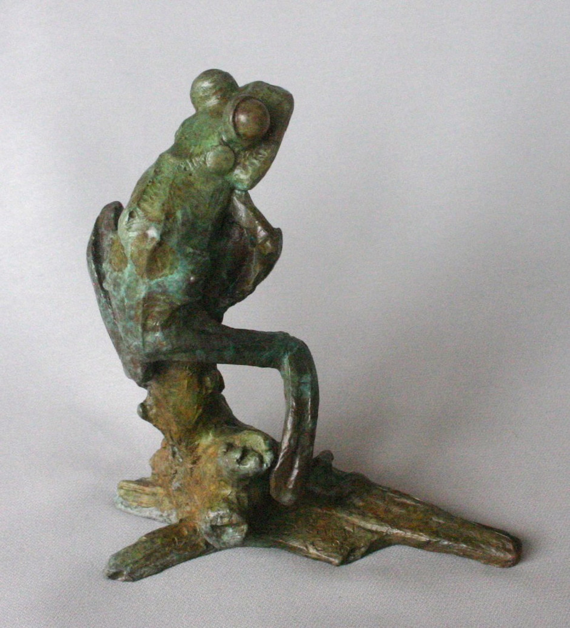 Tree Frog B by Dan Chen