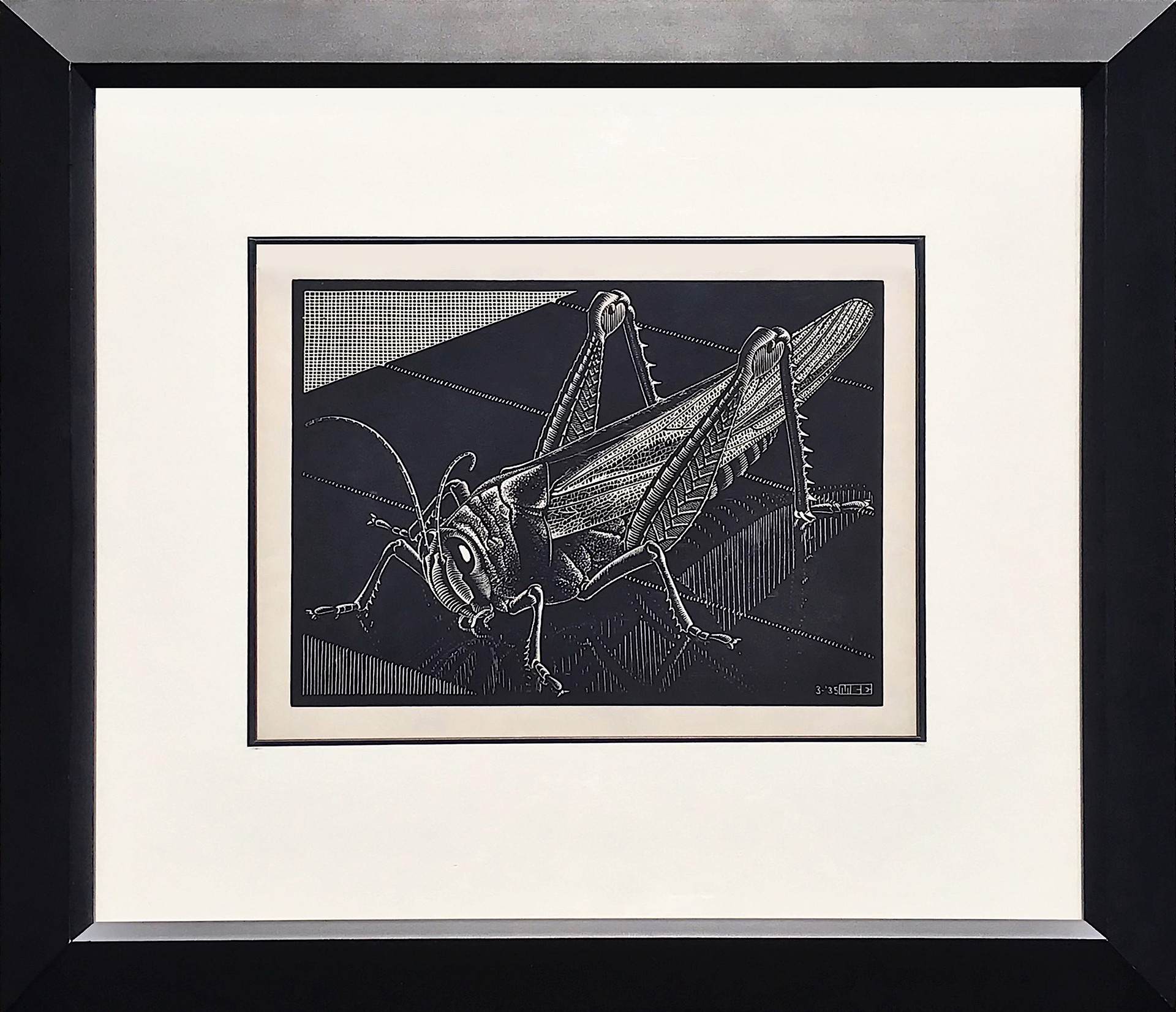 Grasshopper by M.C. Escher