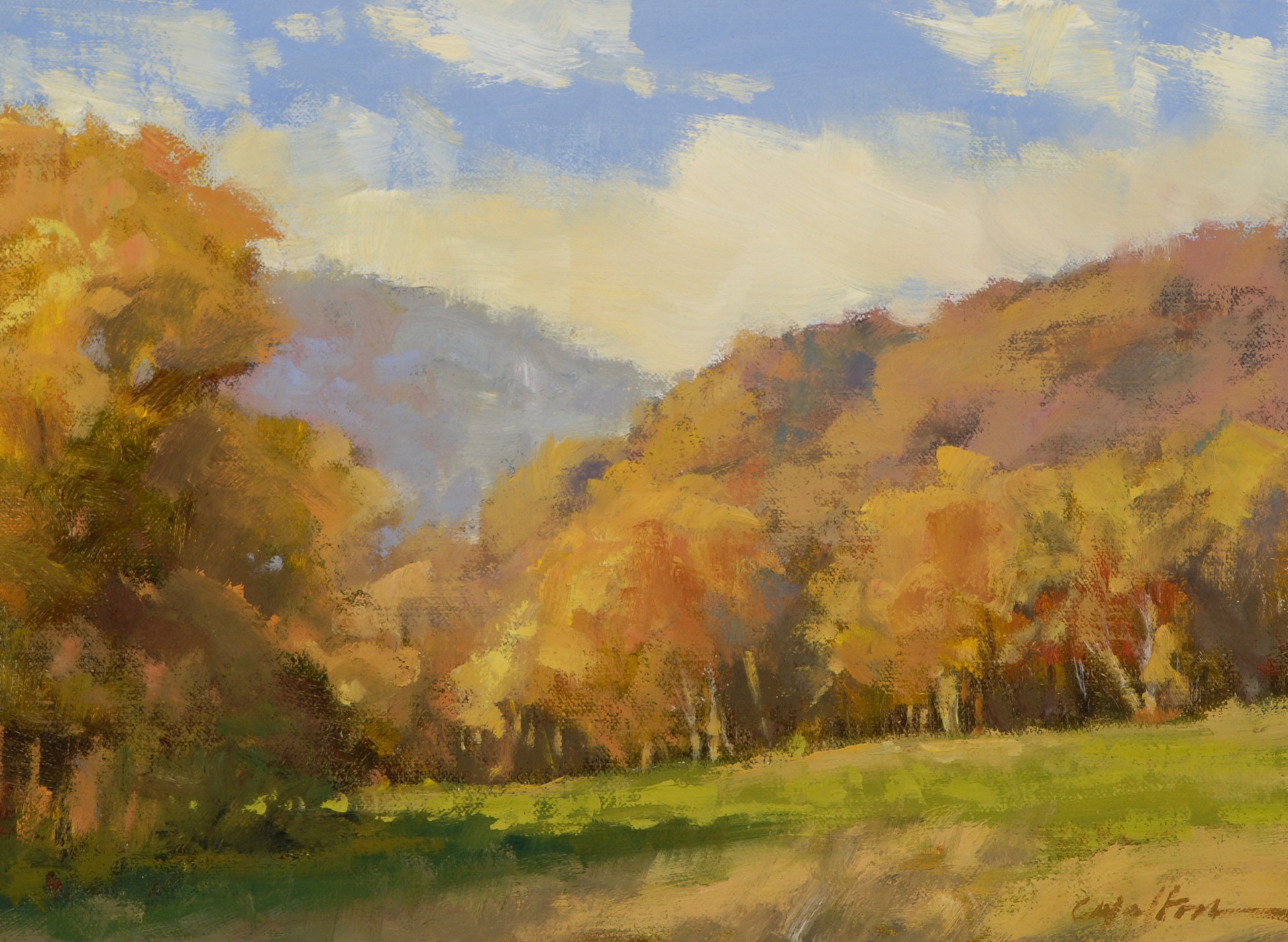Sunlit Trapp Meadow by Carolyn Walton