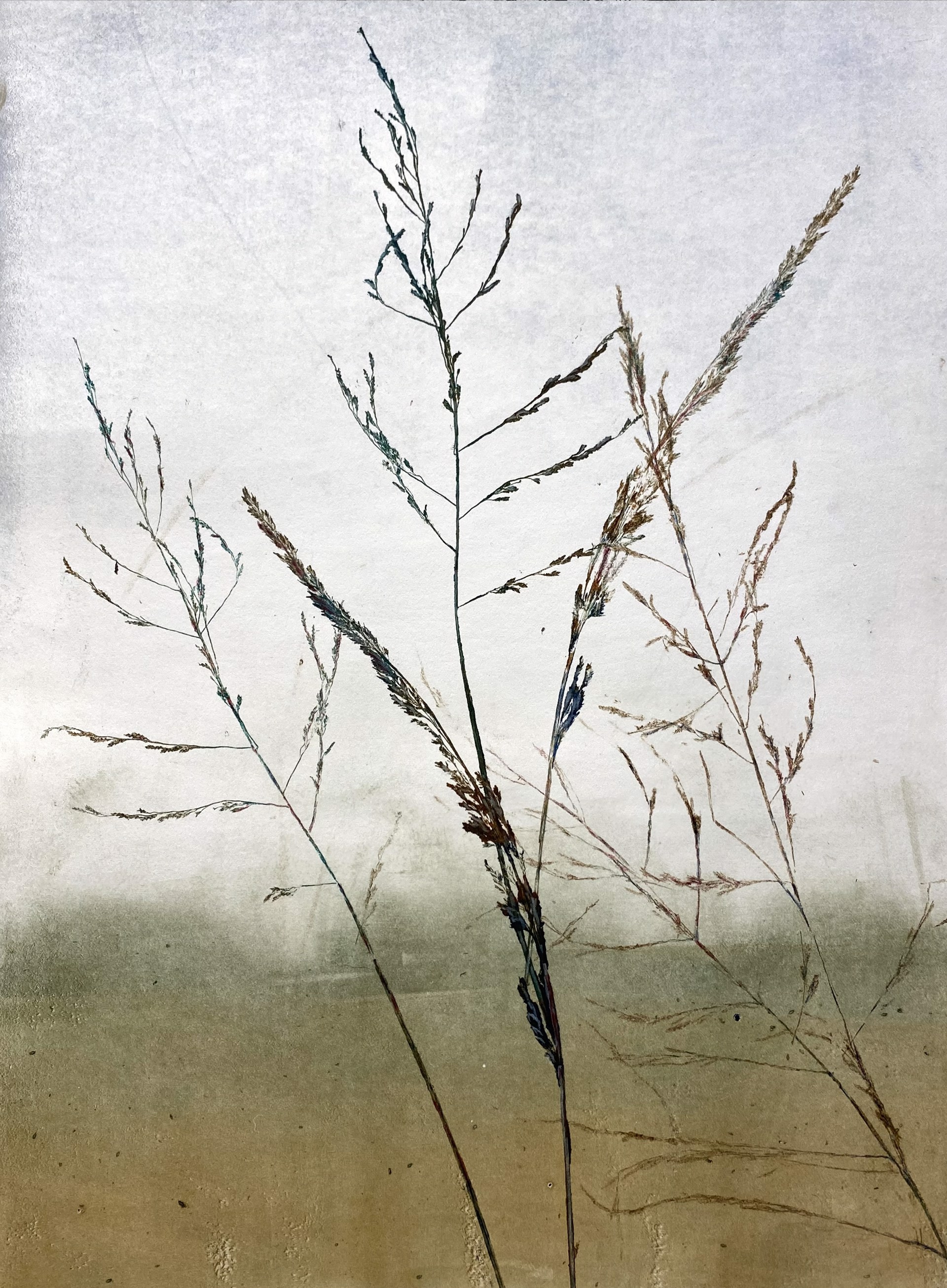 Grass in the Landscape by Marilou Kundmueller