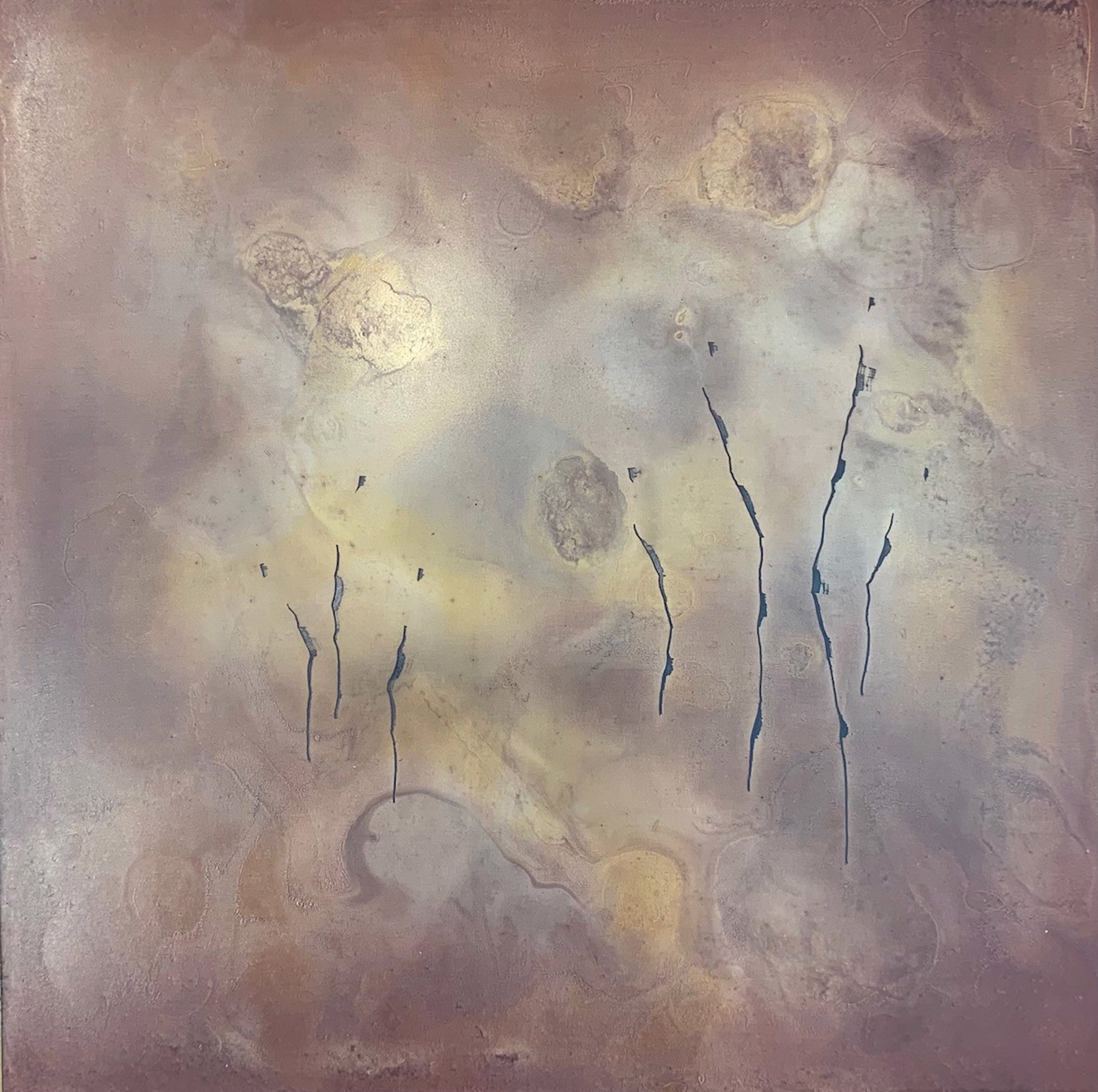 Morning Mist 7 by Julie Quinn