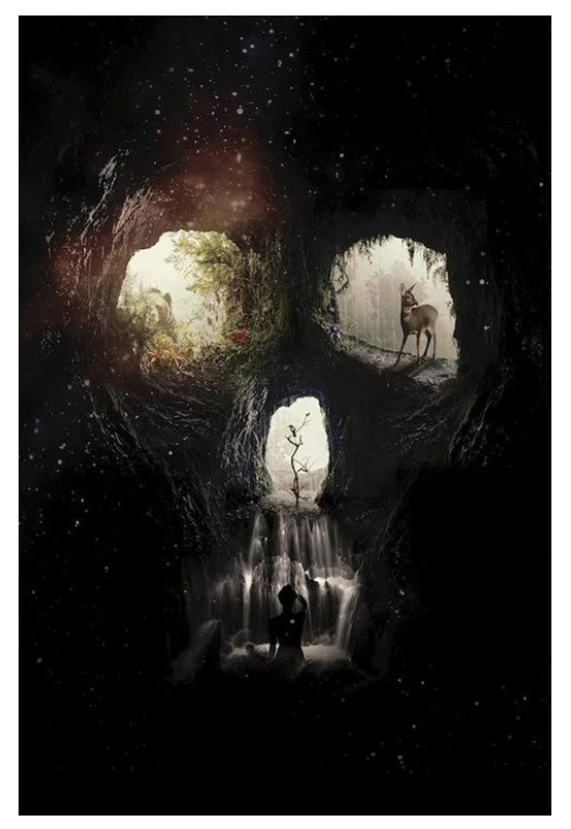 Cave Skull by Ali Gulec