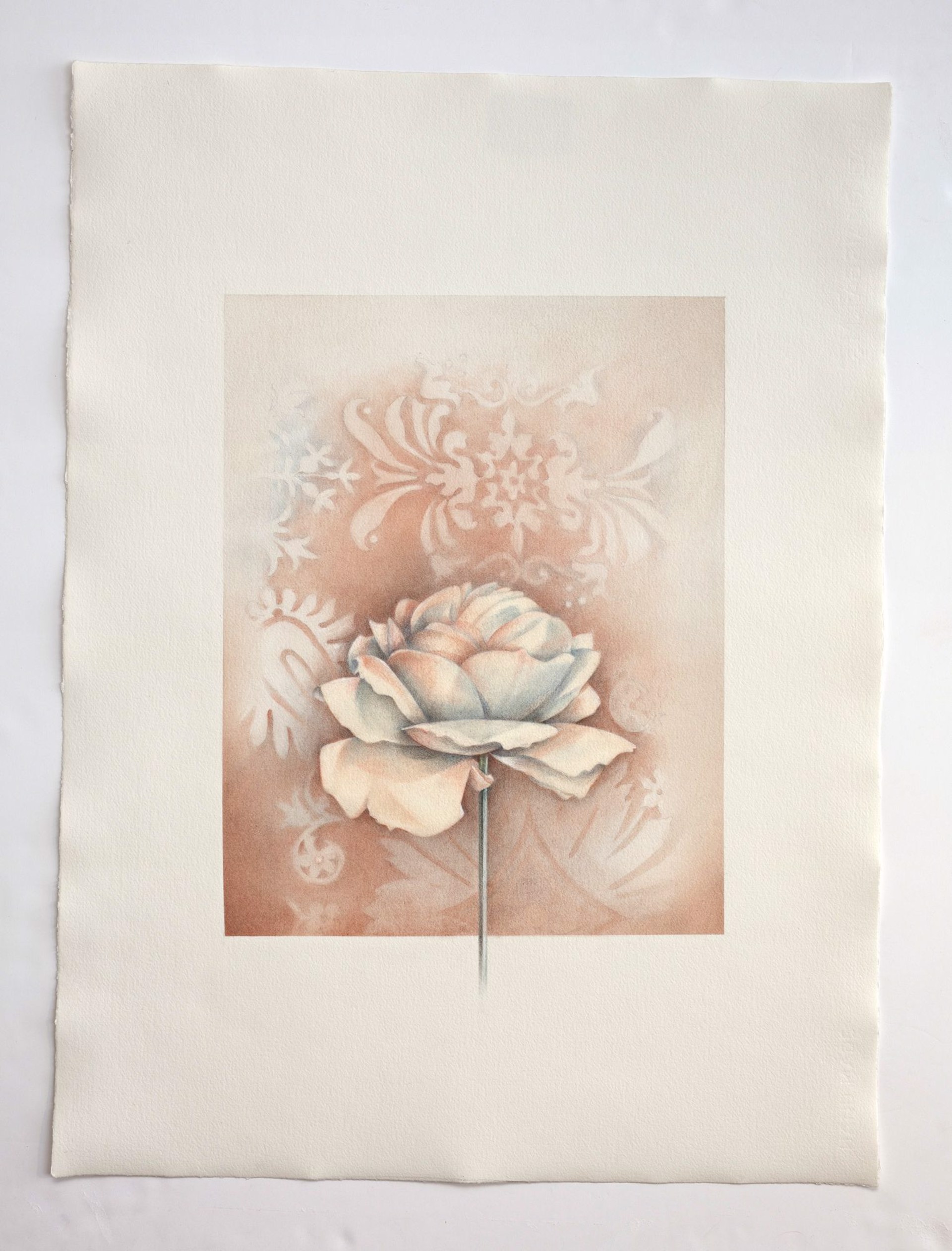 Fortuny Rose by Susan Manchester