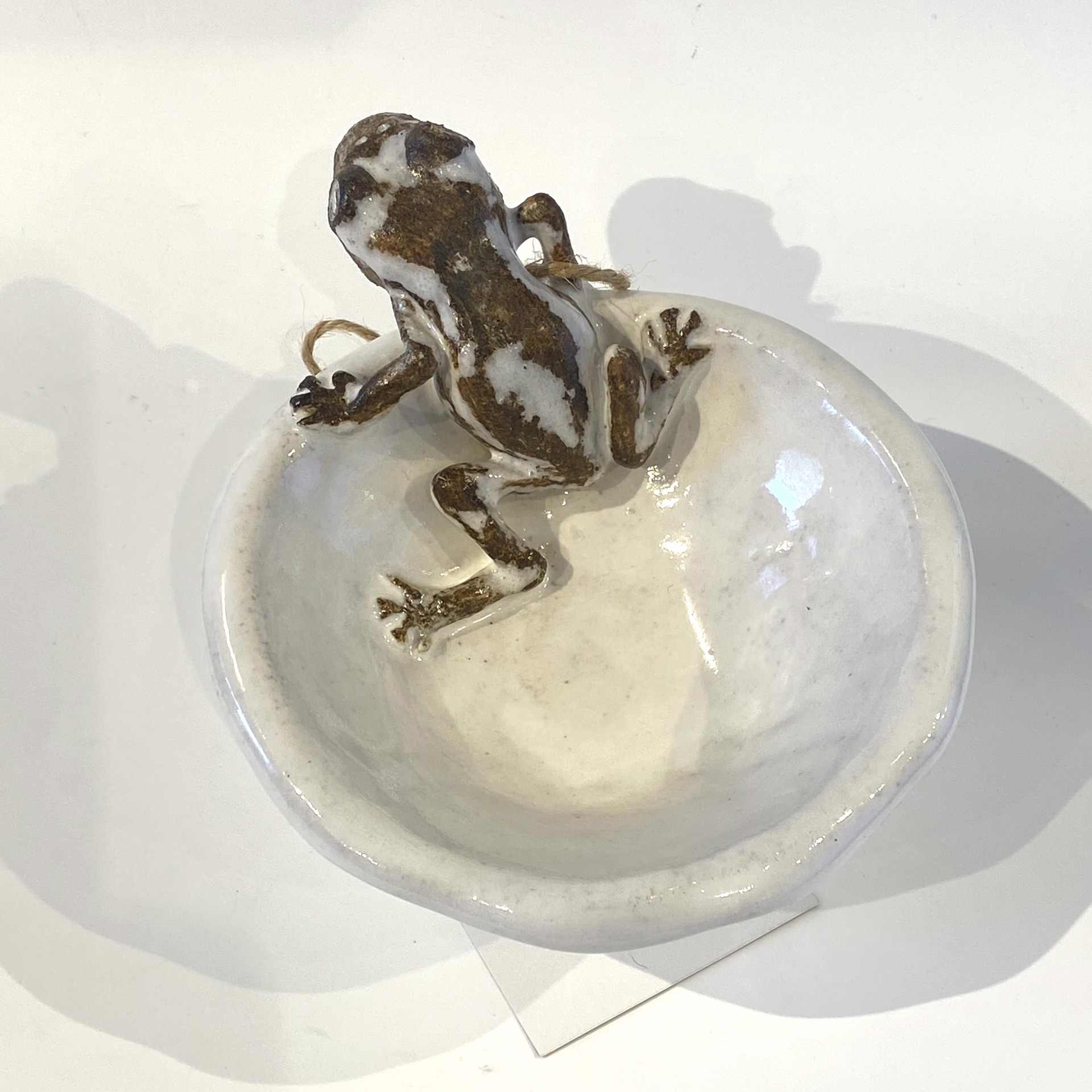 Mini Frog Bowl SG23-56 by Shayne Greco