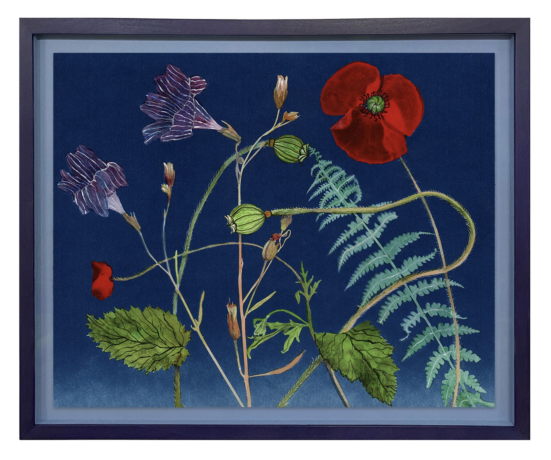 Nocturnal Nature (Poppies, Petunia, Fern) by Julia Whitney Barnes