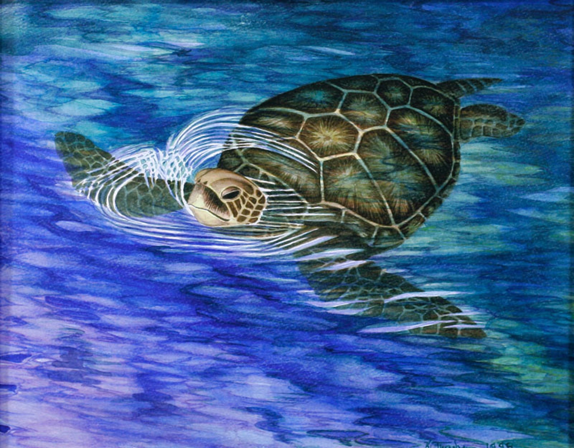 Turtle Greetings by Karen Thrasher