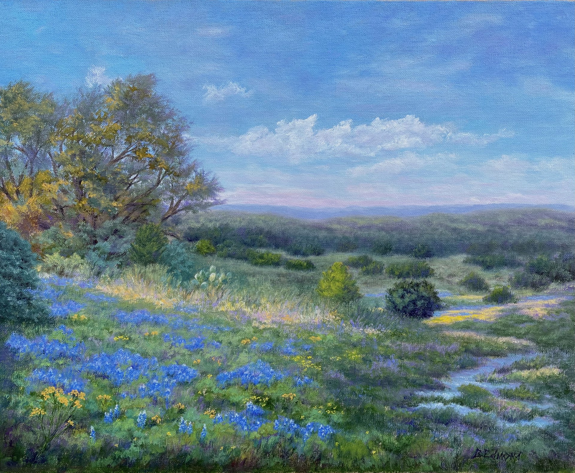 Spring in the Hill Country by Betty Edmond