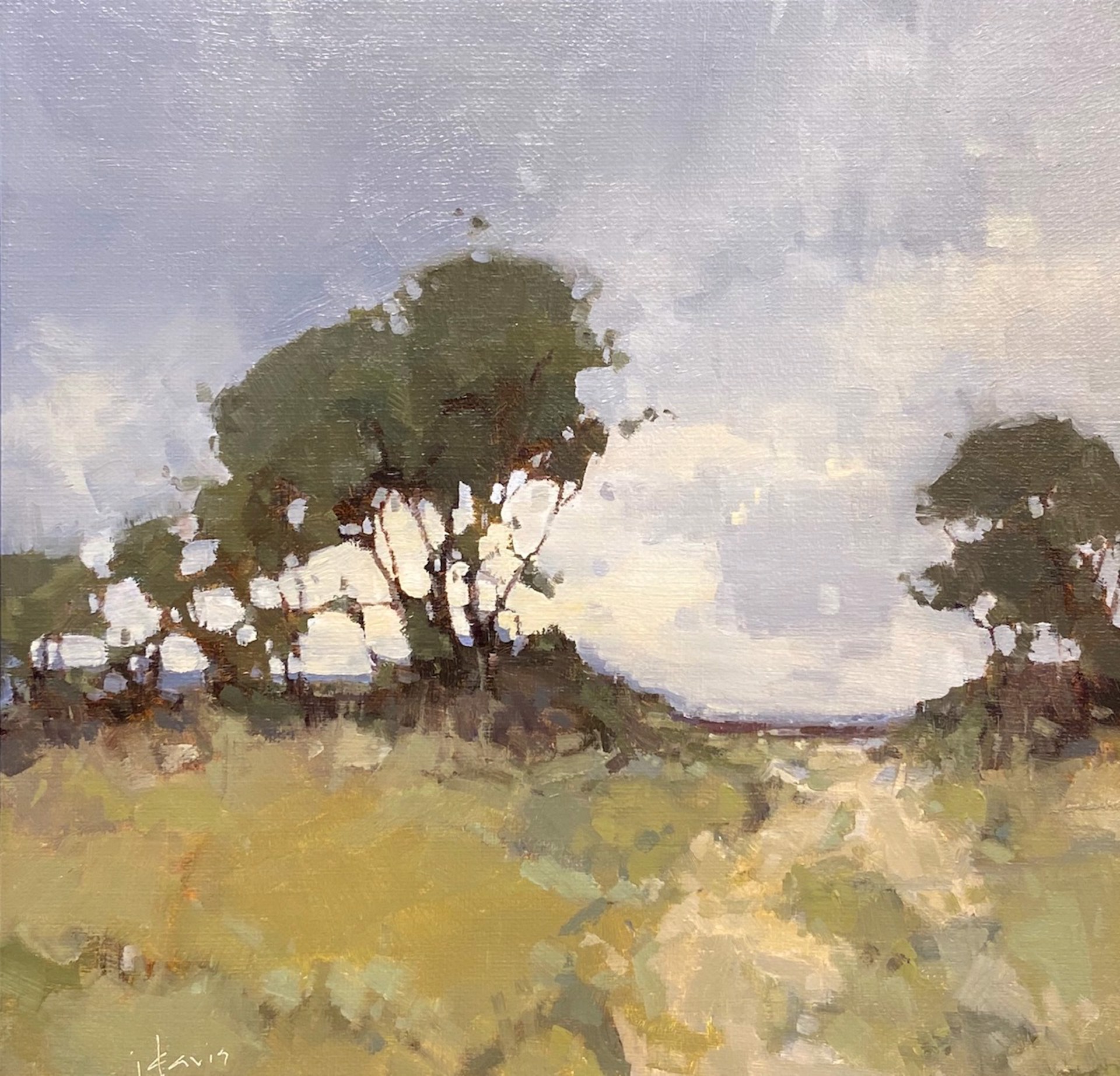 The Spaces Between by Julie Davis