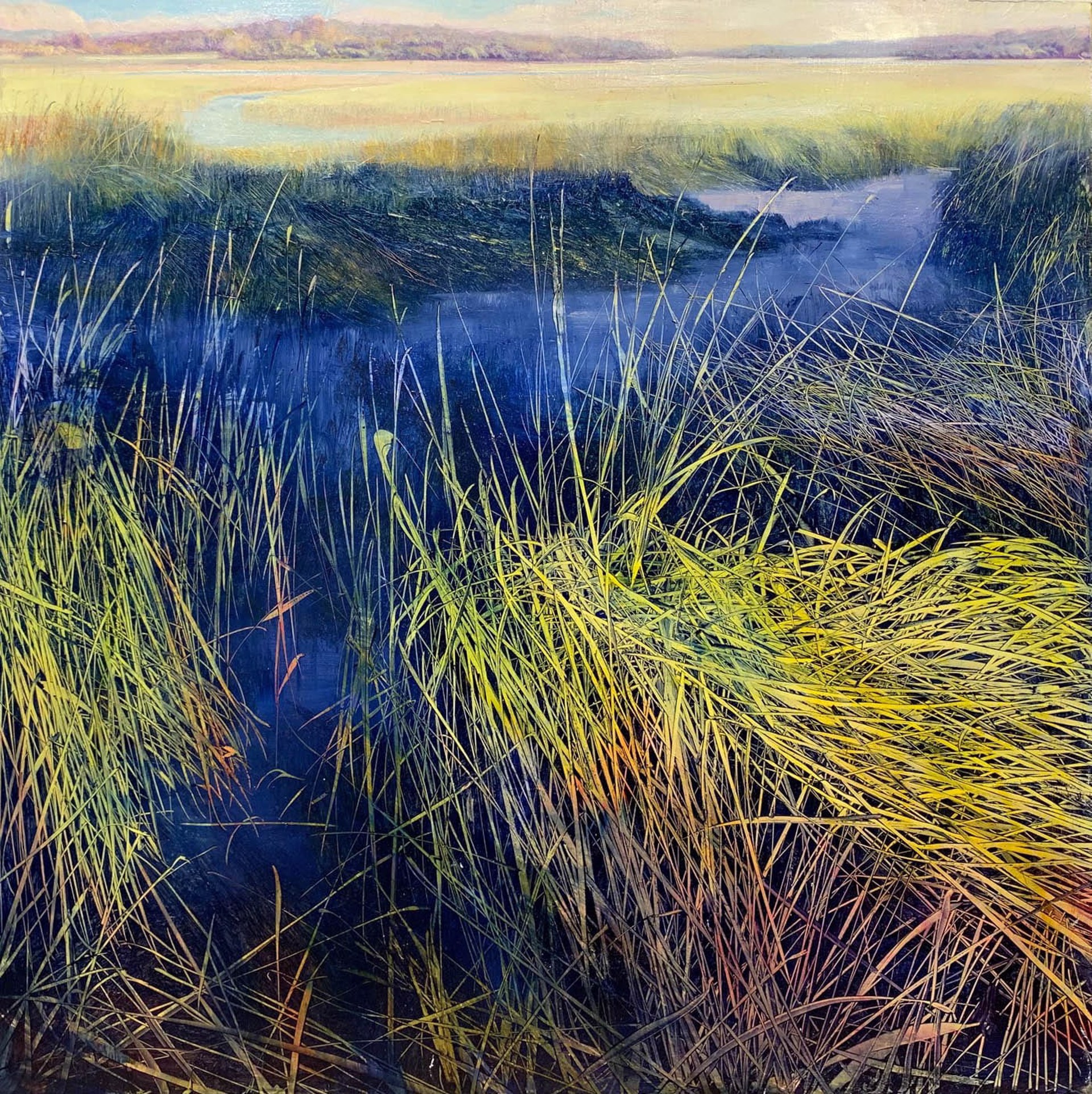 Marsh and Tidewater by David Dunlop