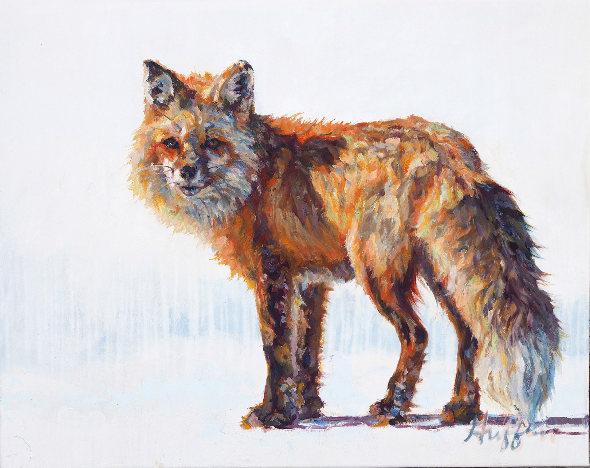 Original Oil Painting By Patricia Griffin Featuring A Red Fox On White Background