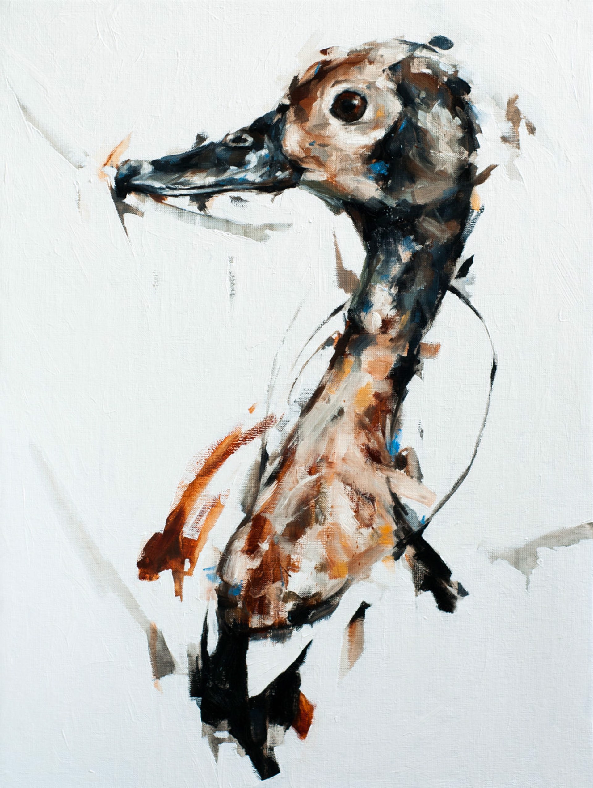 Duck by Thibault Jandot