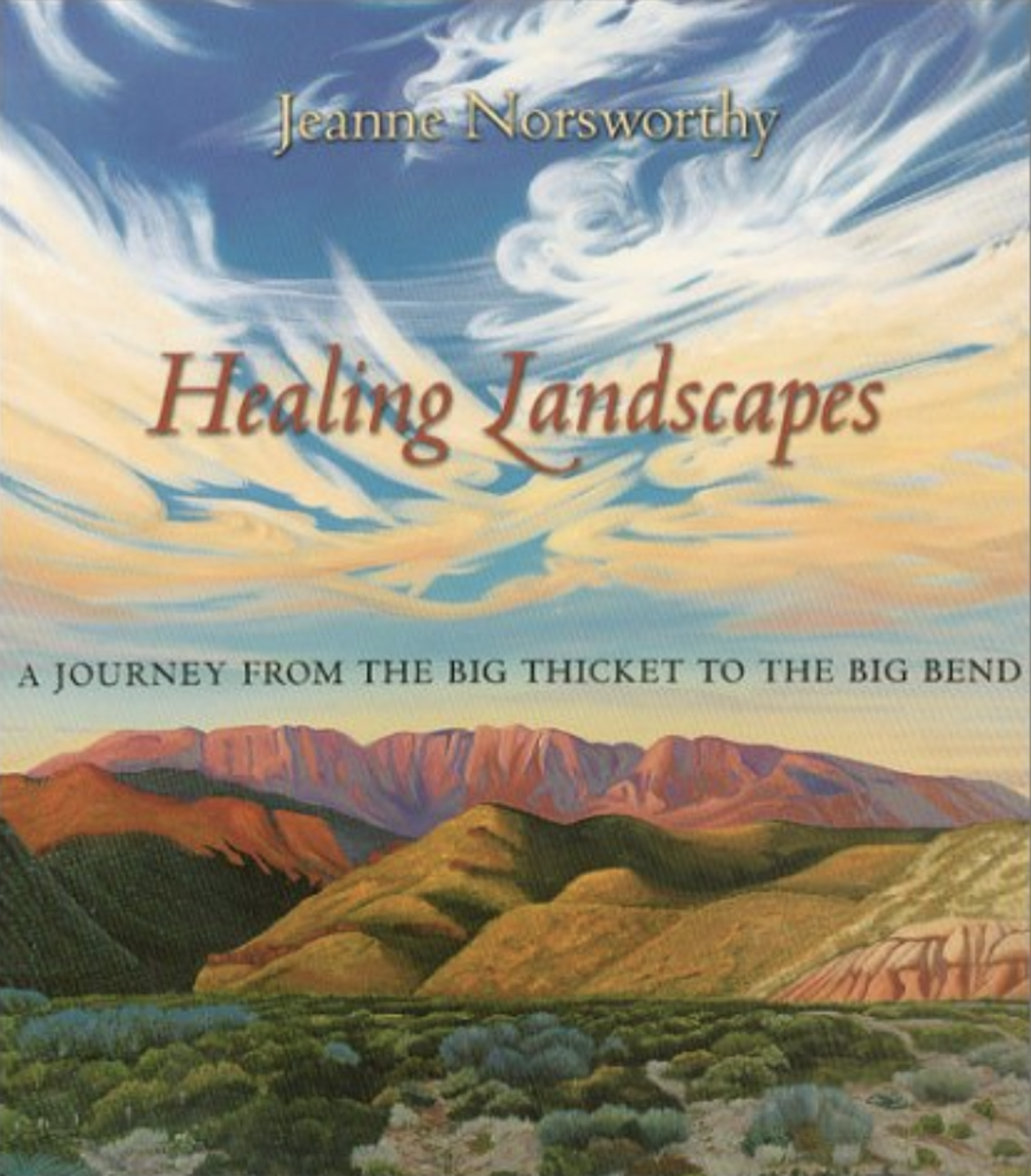 Healing Landscapes: A Journey from the Big Thicket to the Big Bend By Jeanne Norsworthy by Publications