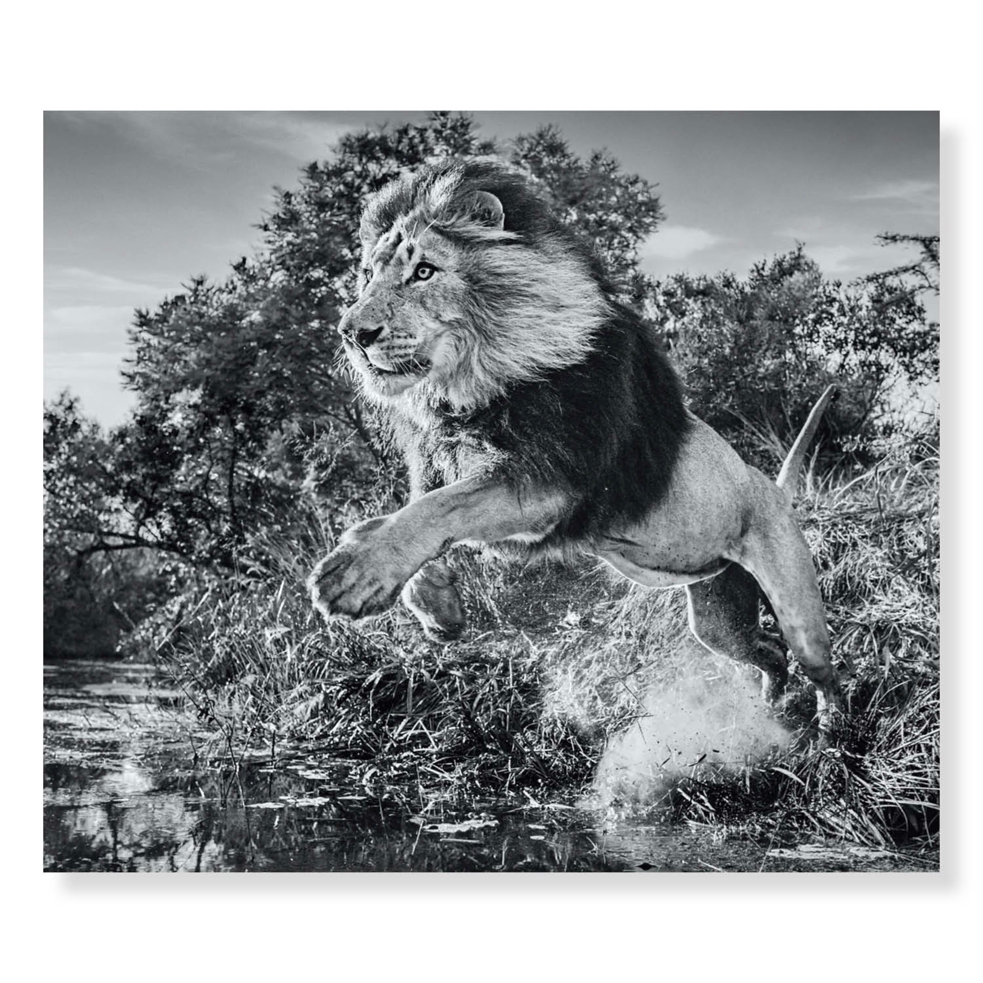 First Down by David Yarrow