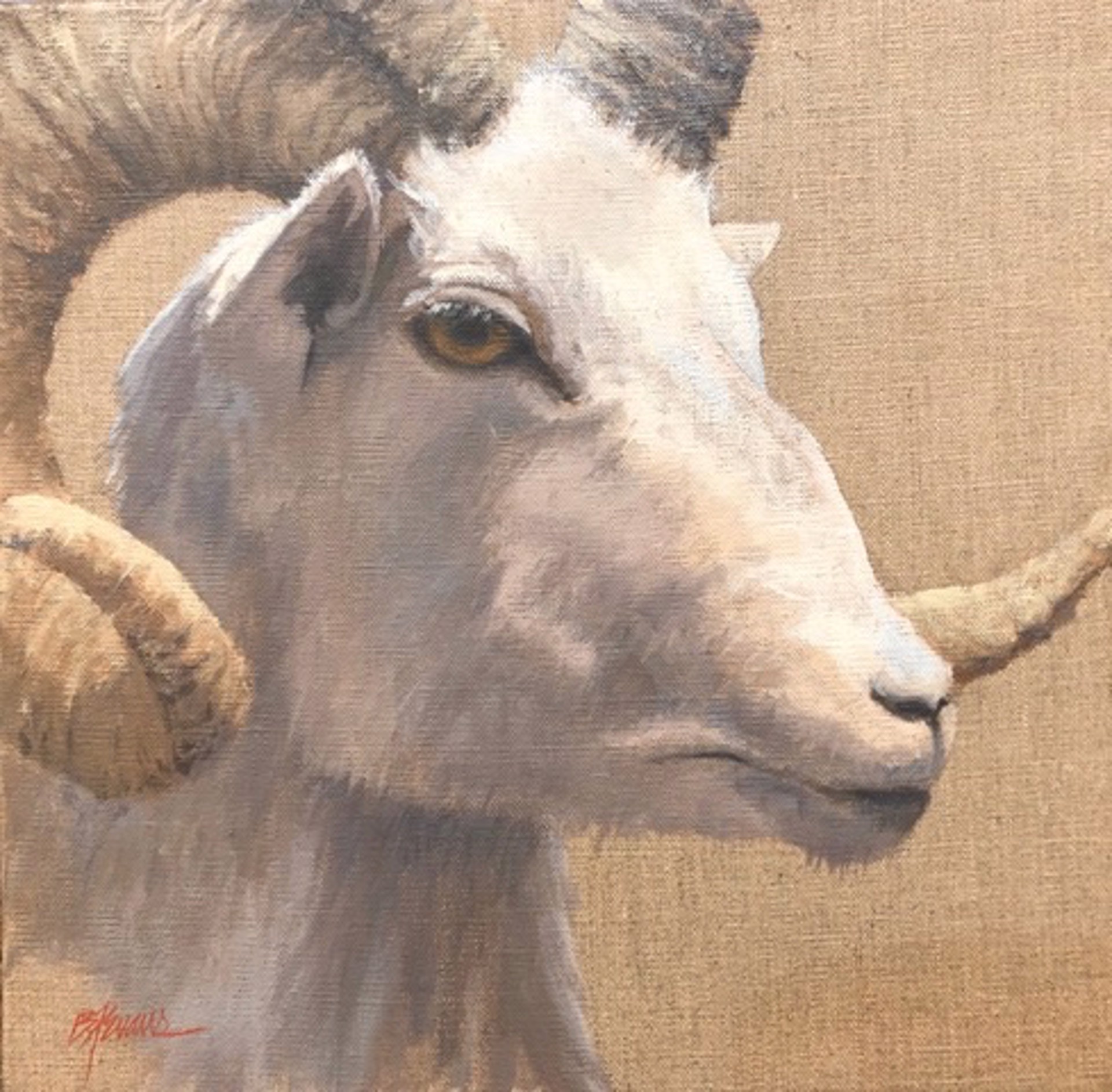 Dall Ram by Beverly Ford Evans
