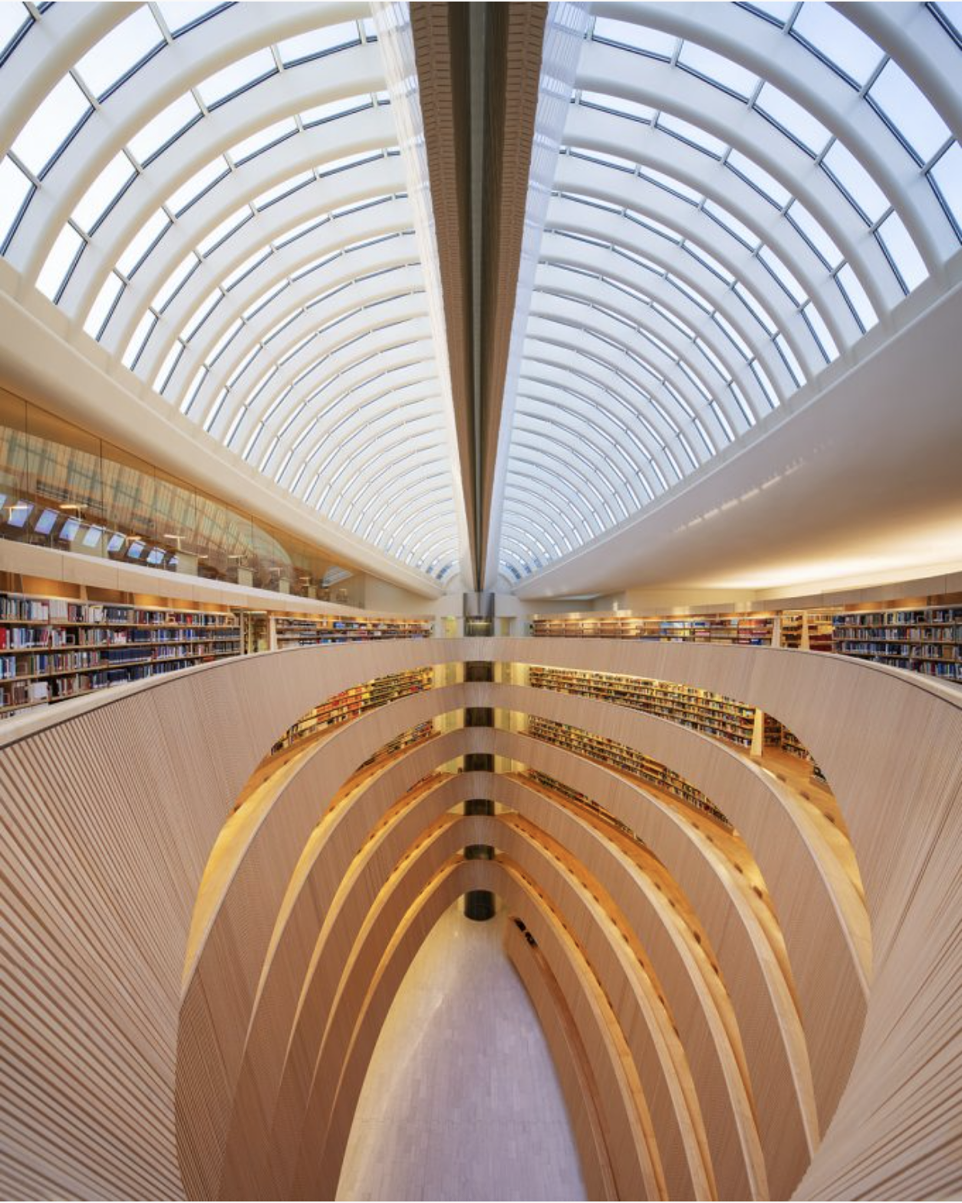 Weightless Wisdom, Library of Department of Law, Zurich, Architect: Santiago Calatrava by Reinhard Gorner