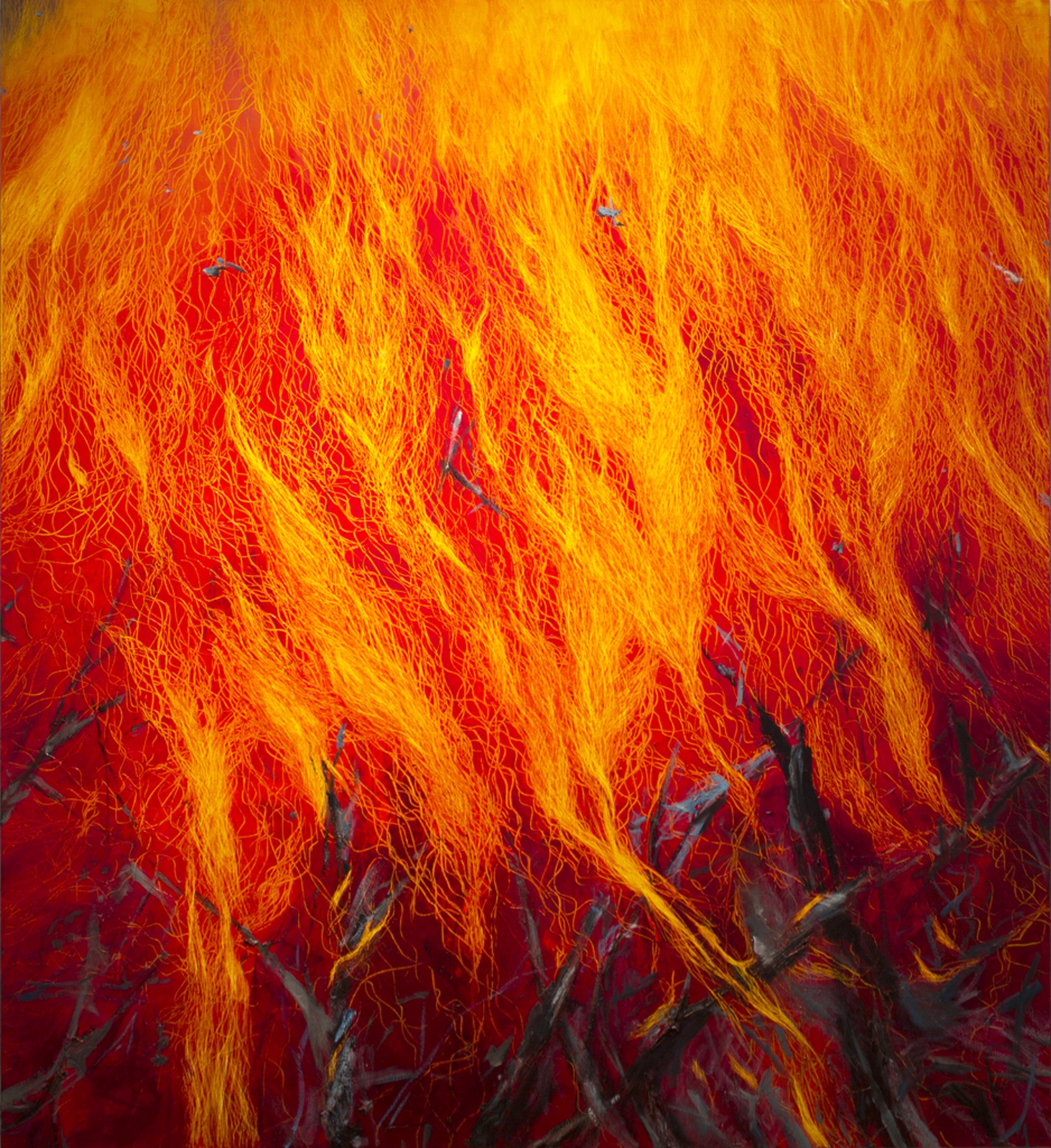 Fire 08 by Leigh Wen
