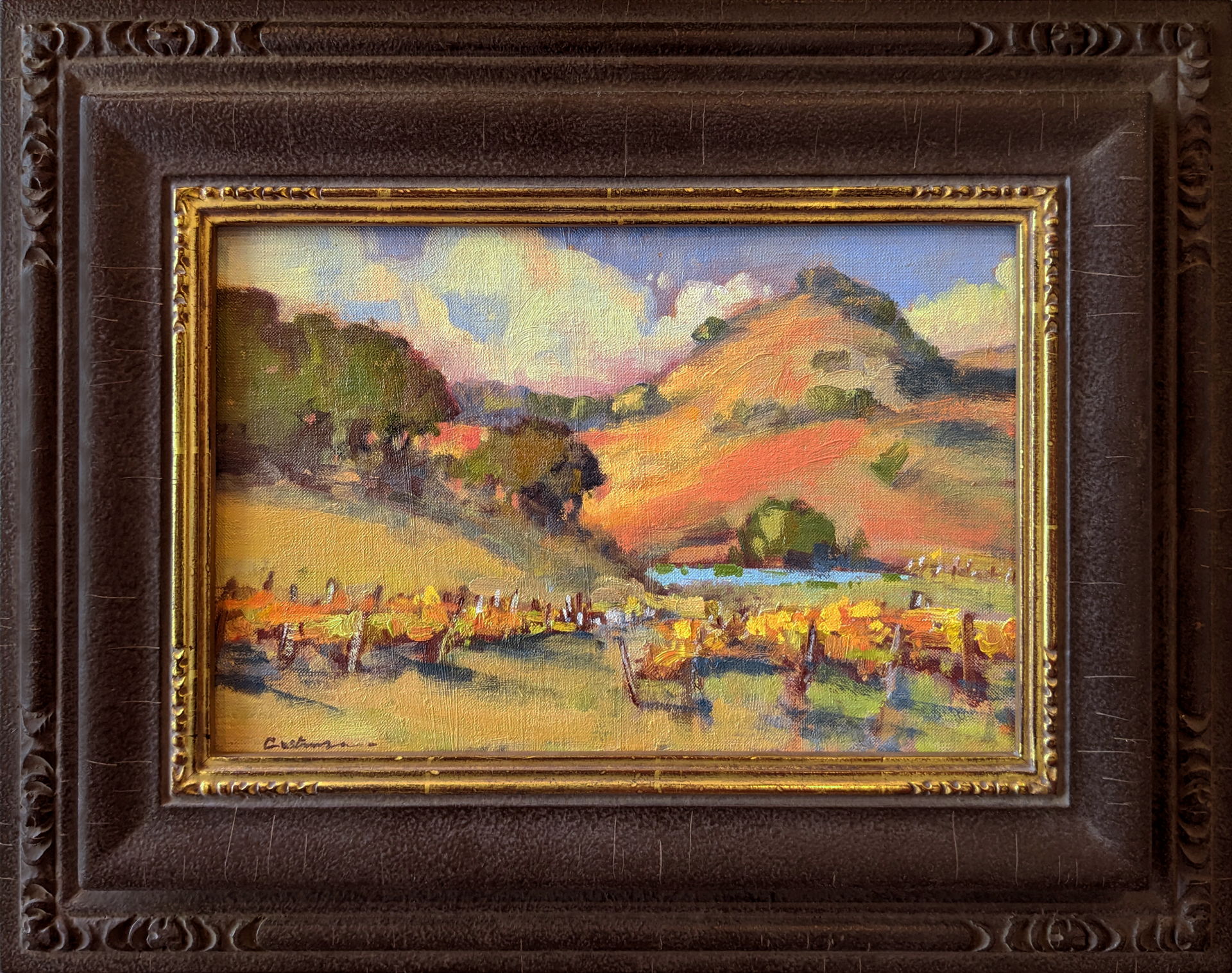 Wine Country by Gene Costanza