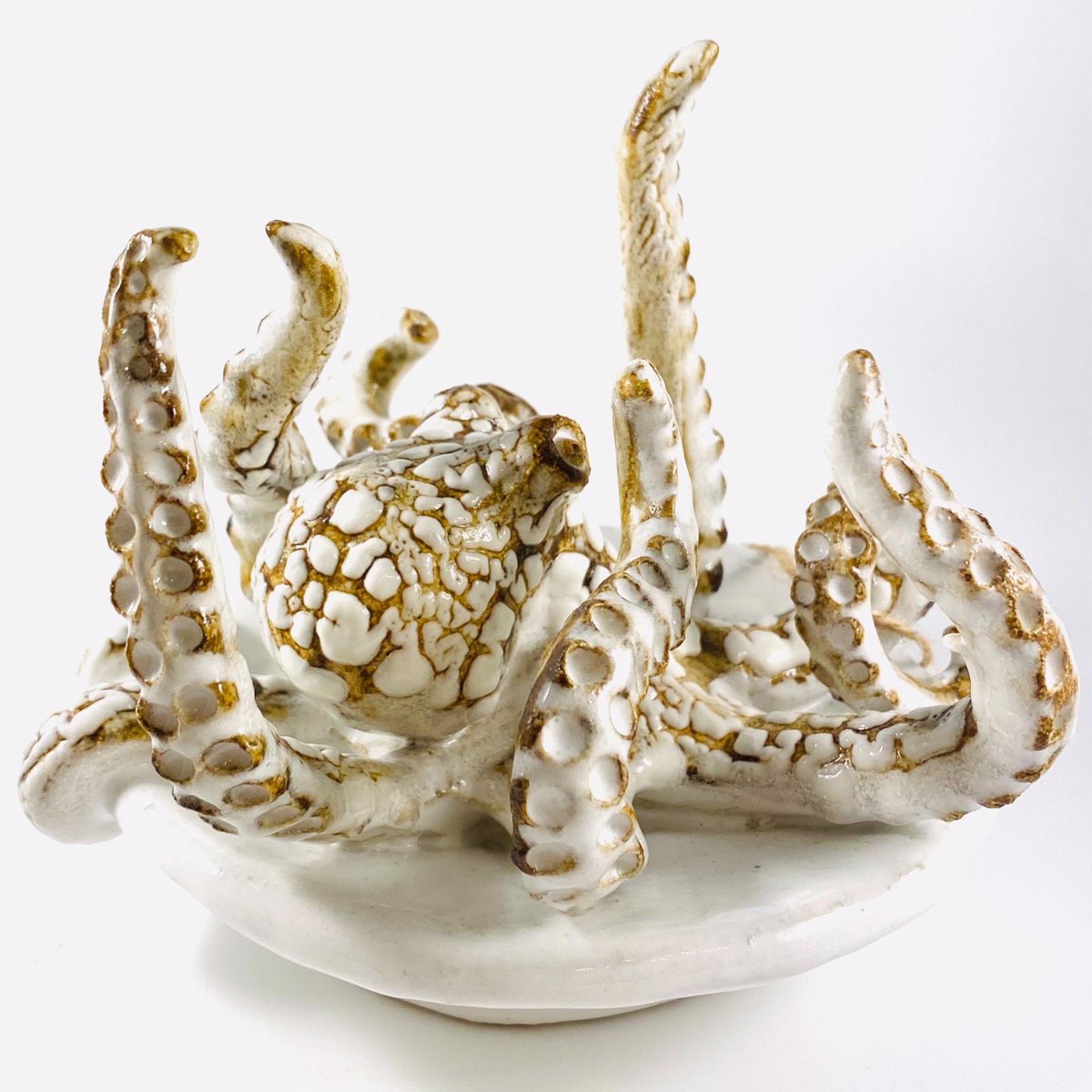 SG2259 Octopus Jewelry Dish (White) by Shayne Greco Dare/Sandpiper