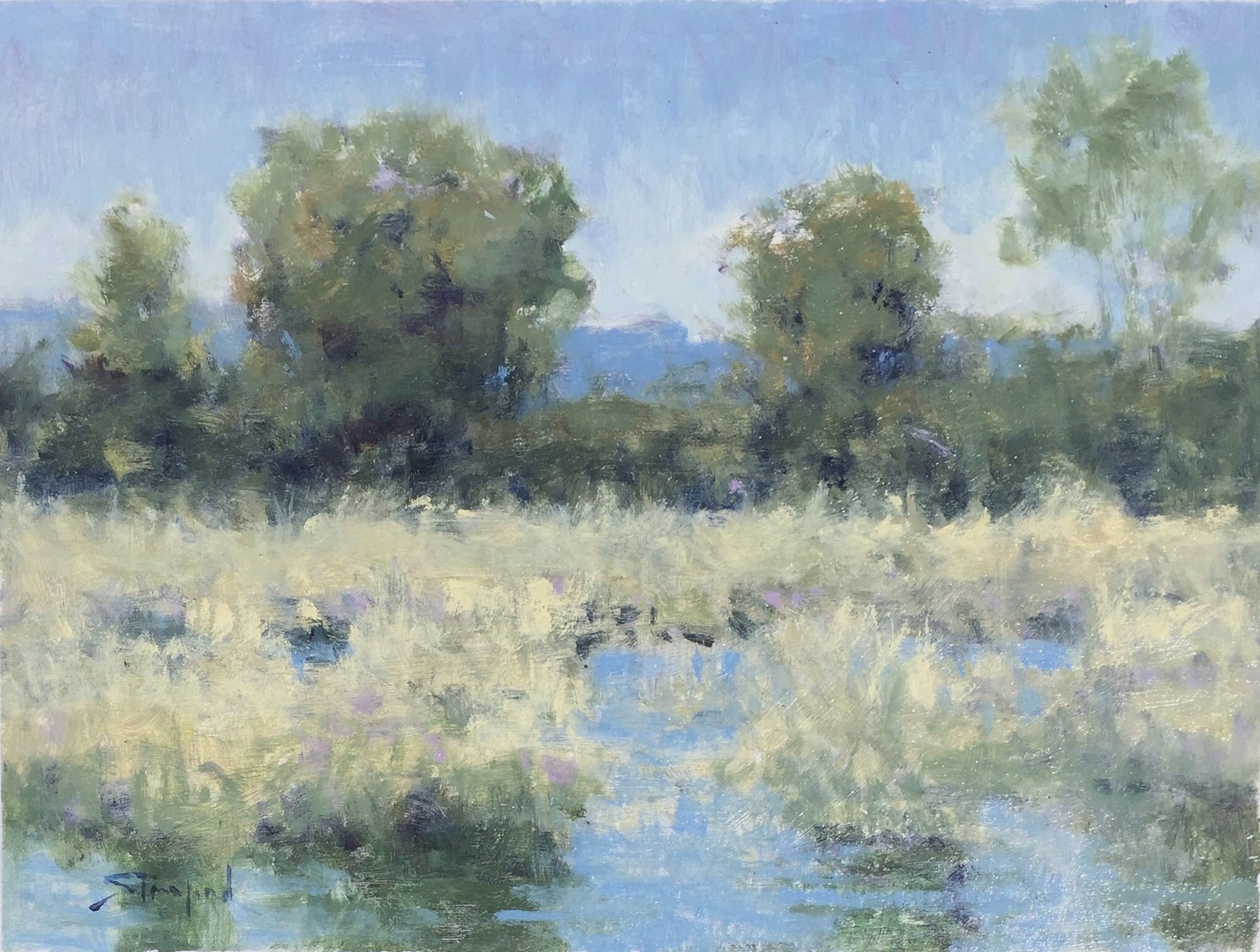 Old Pond by John Stanford