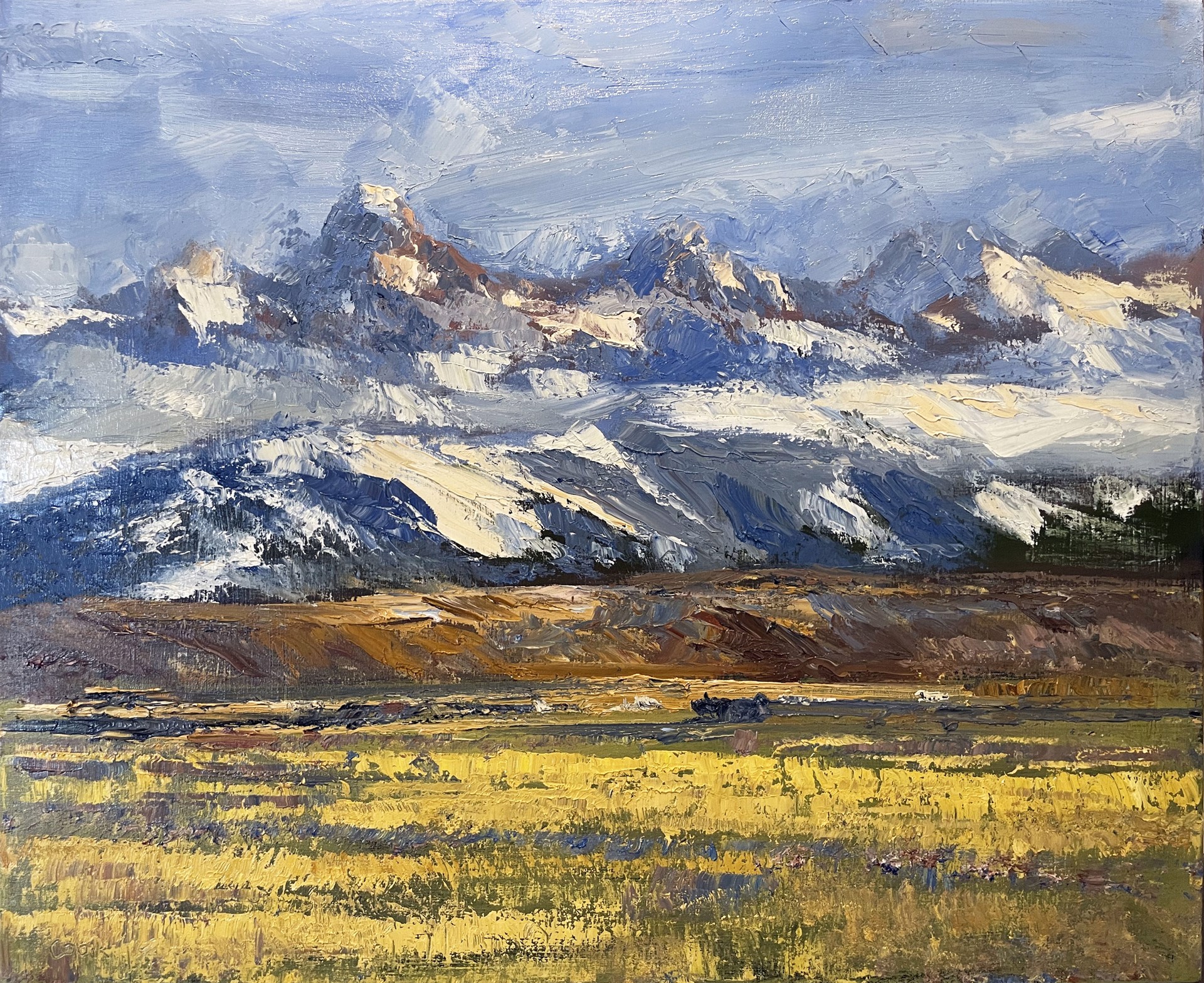 Teton Valley Study #5 by James Cook