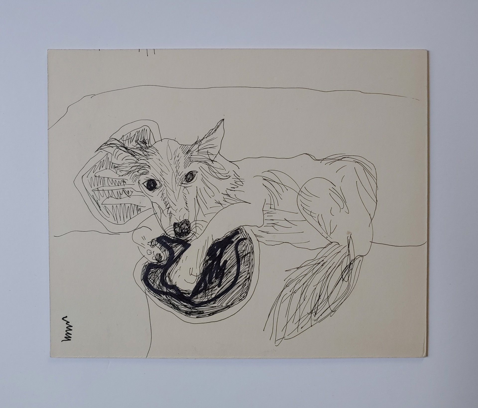 Dog Sketch by David Amdur