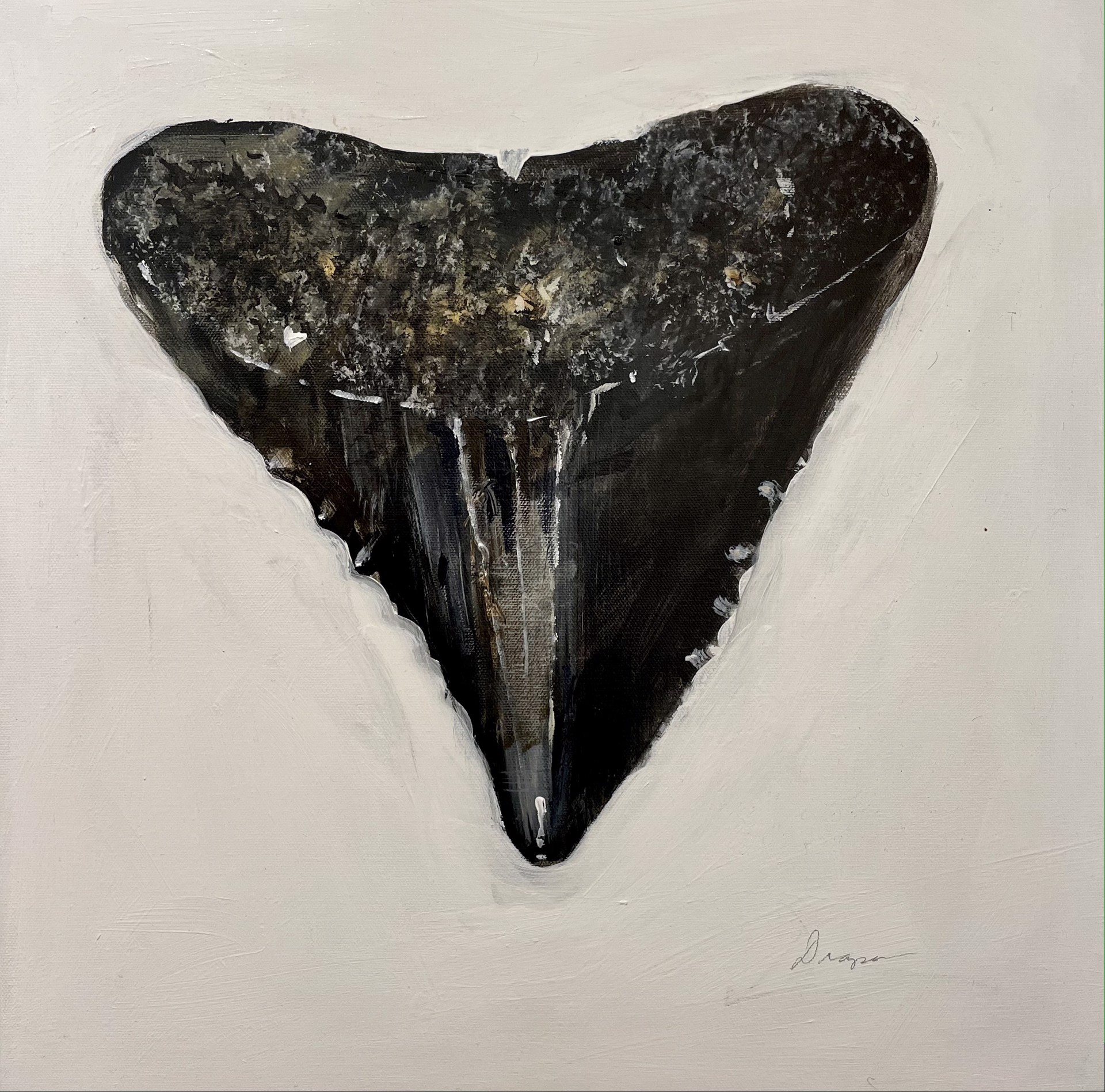 Shark Tooth no. 13 by Jim Draper