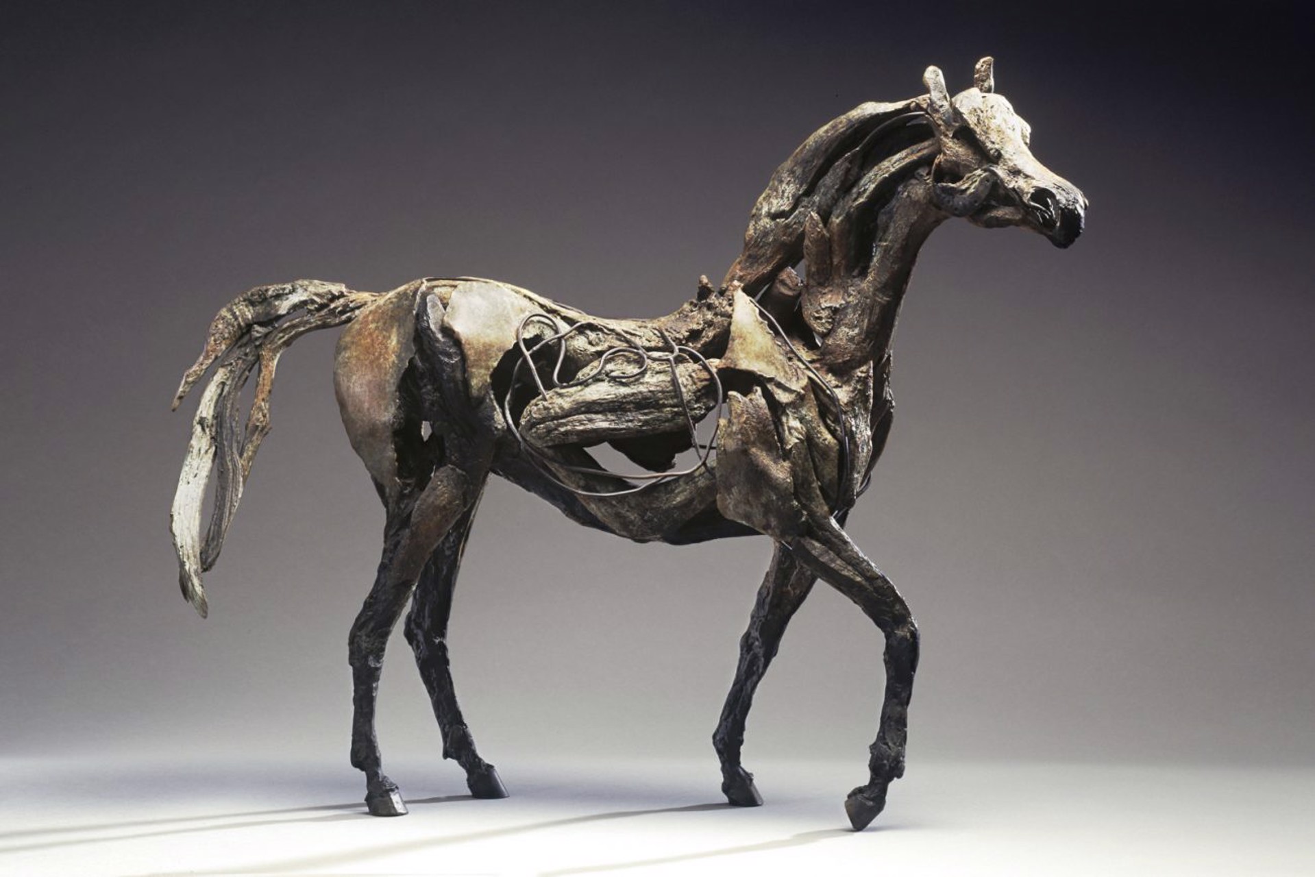 RaRa (Horse) by Heather Jansch