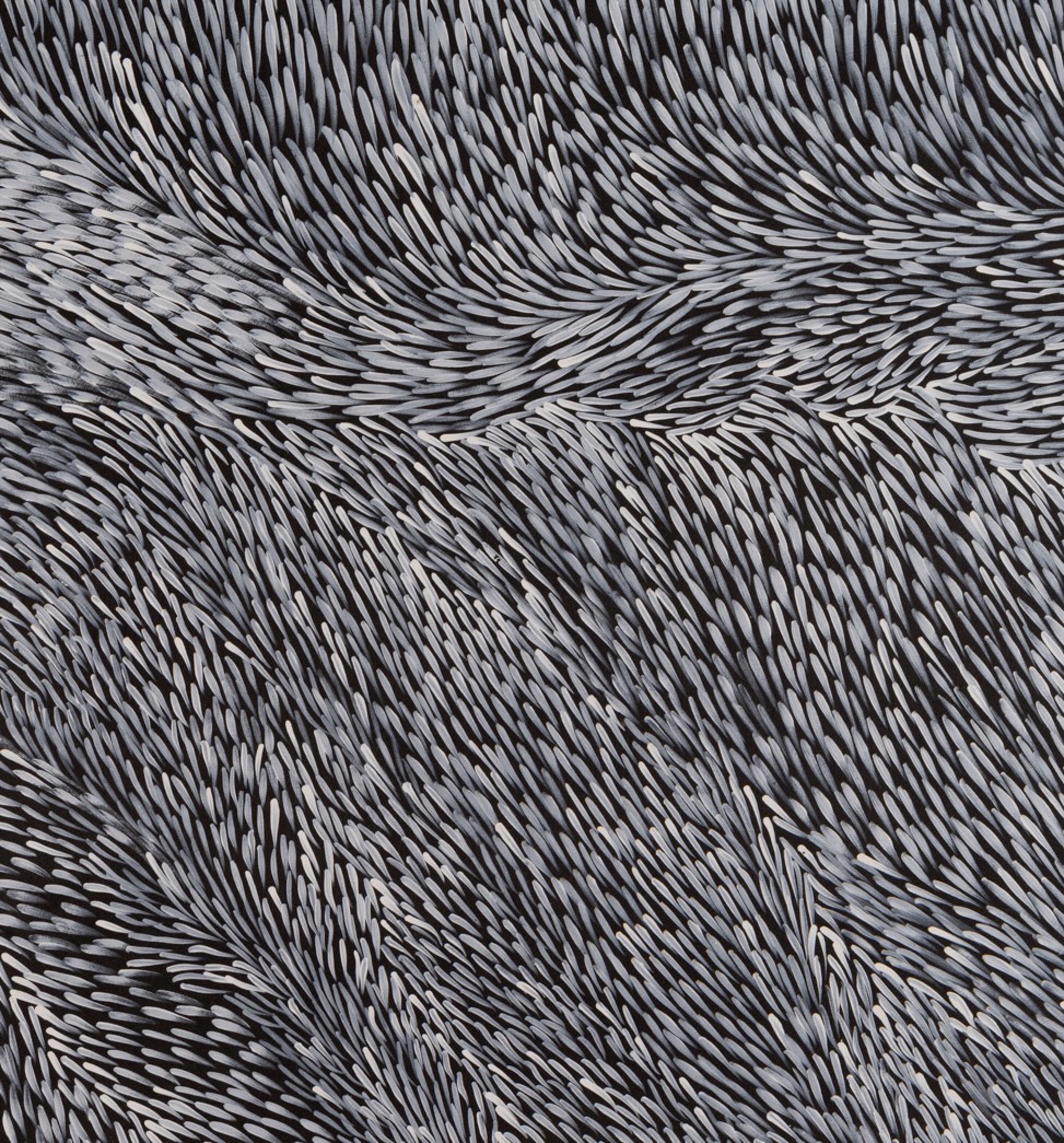 Gloria Petyarre | ArtX Contemporary