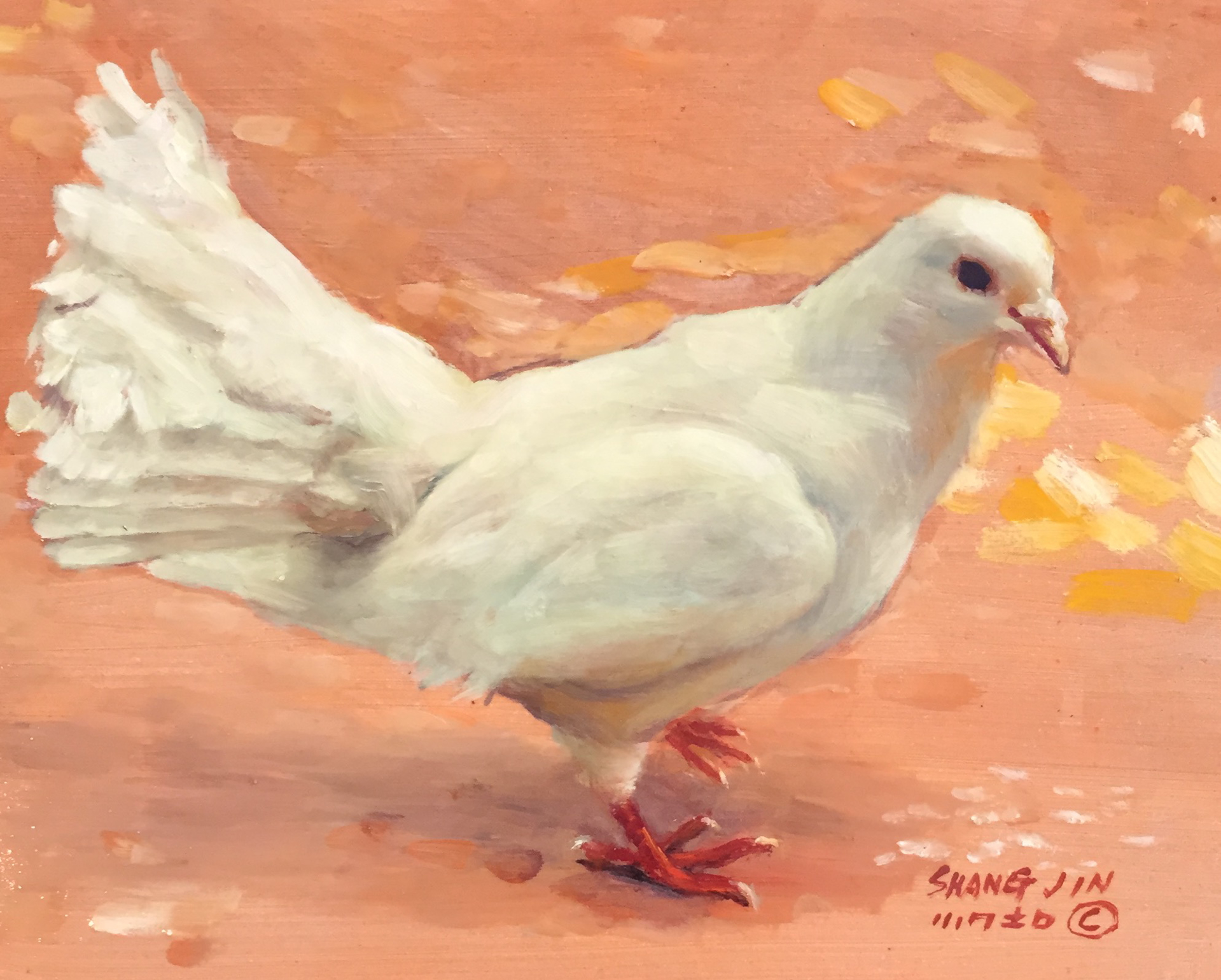 White Dove 37 by Shang Jin
