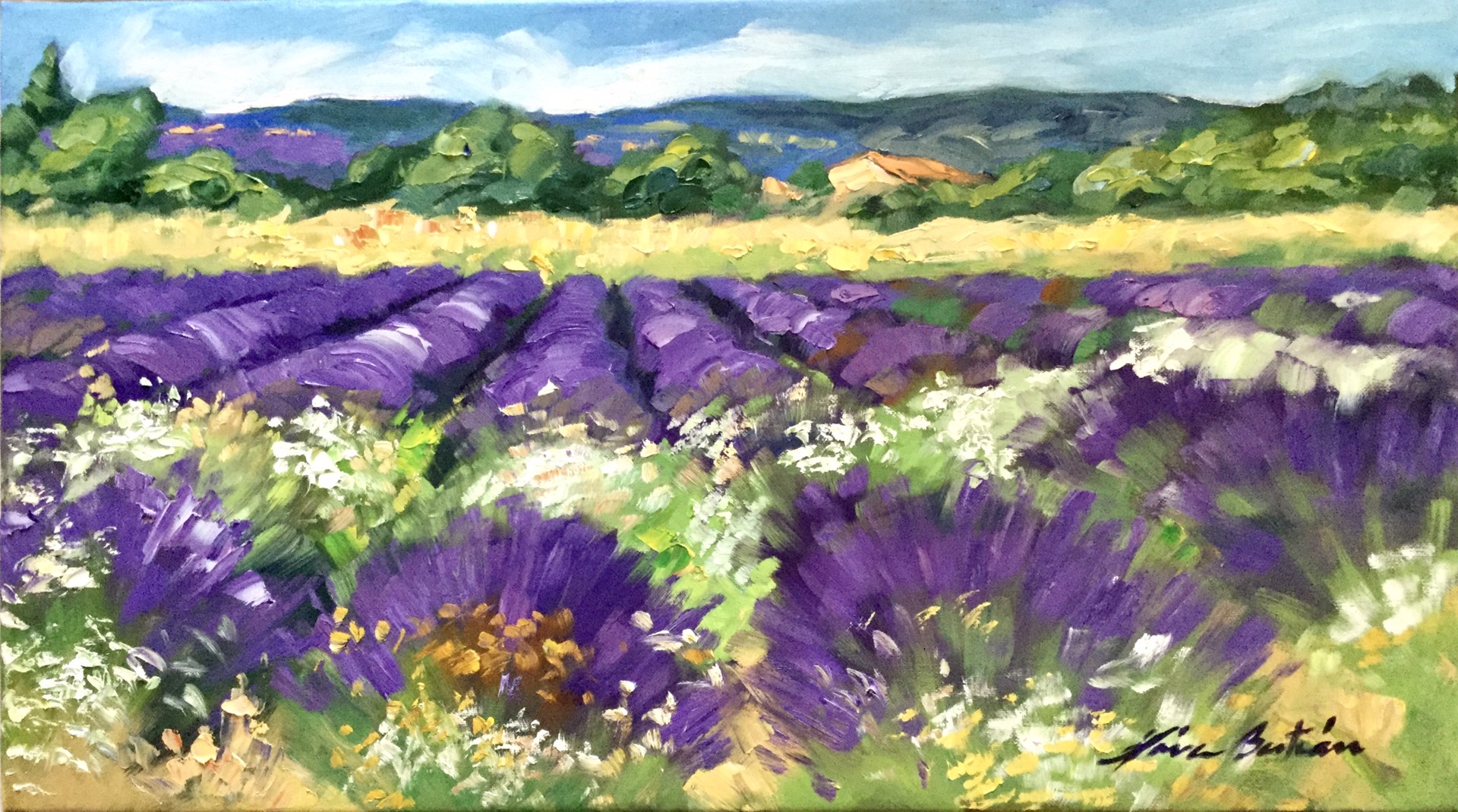 Albion Lavender and Wildflowers by Maria Bertrán
