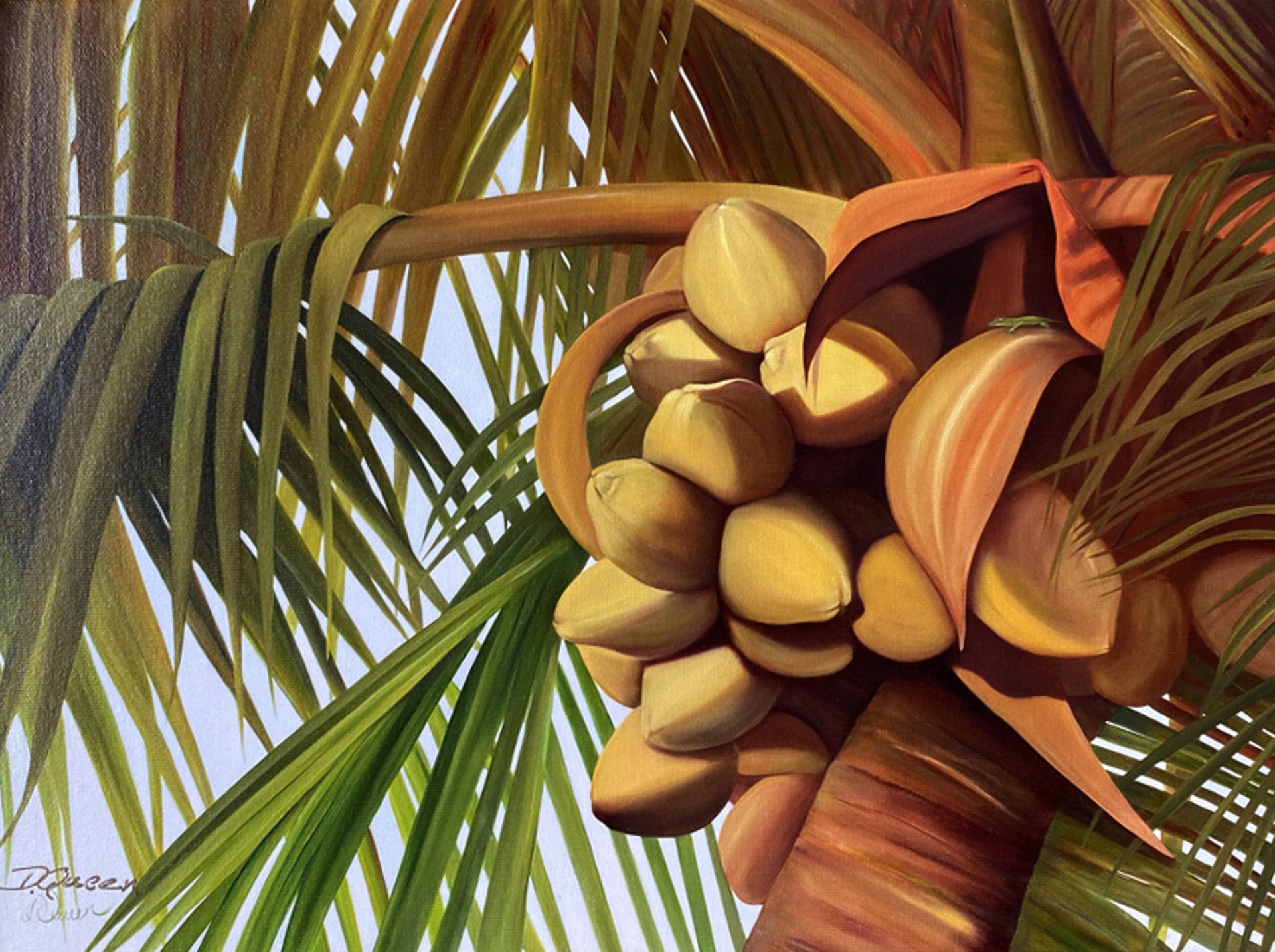 Coco Nuts by Dana Queen