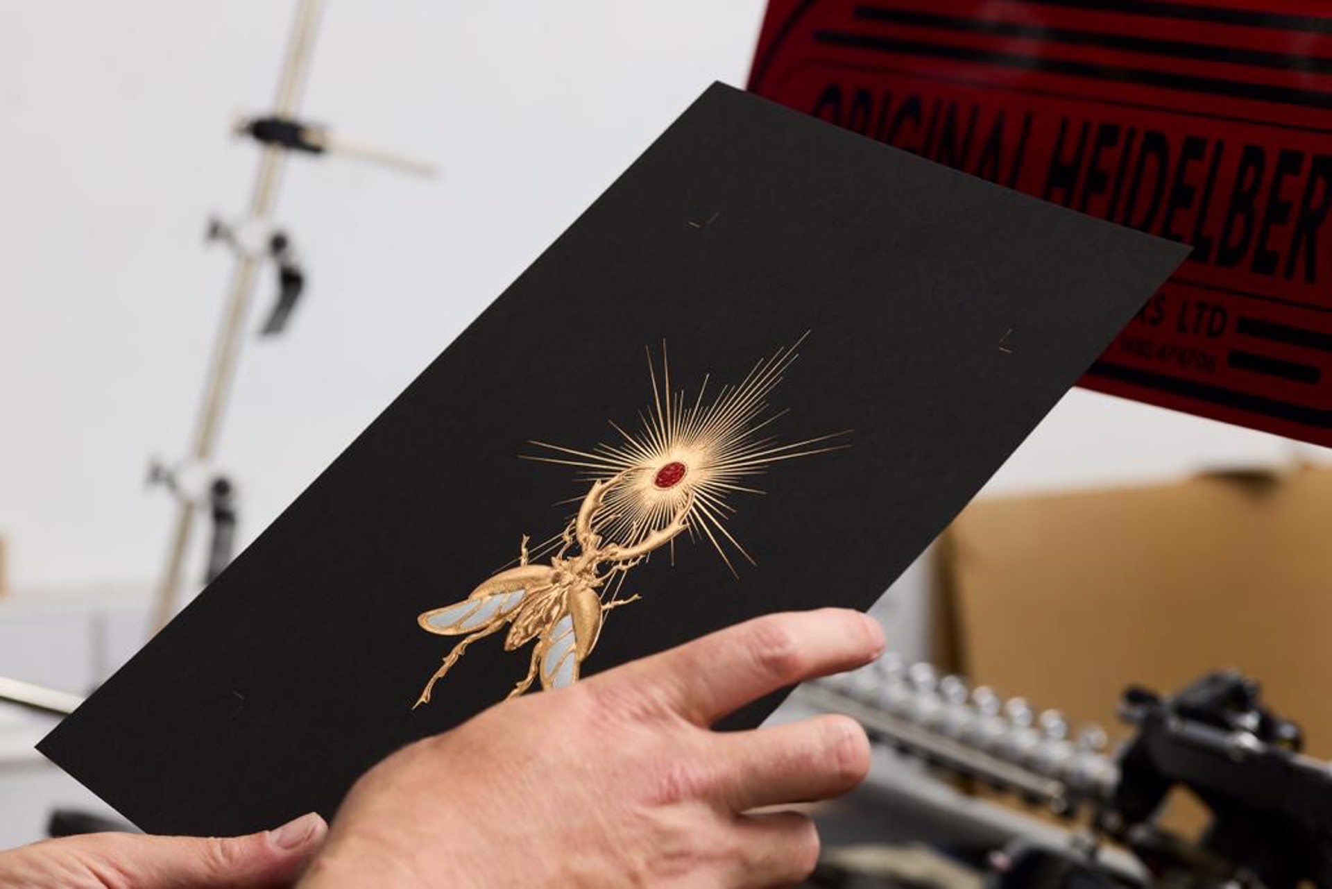 "Guiding Light" Scarab Postcard by Gary James McQueen