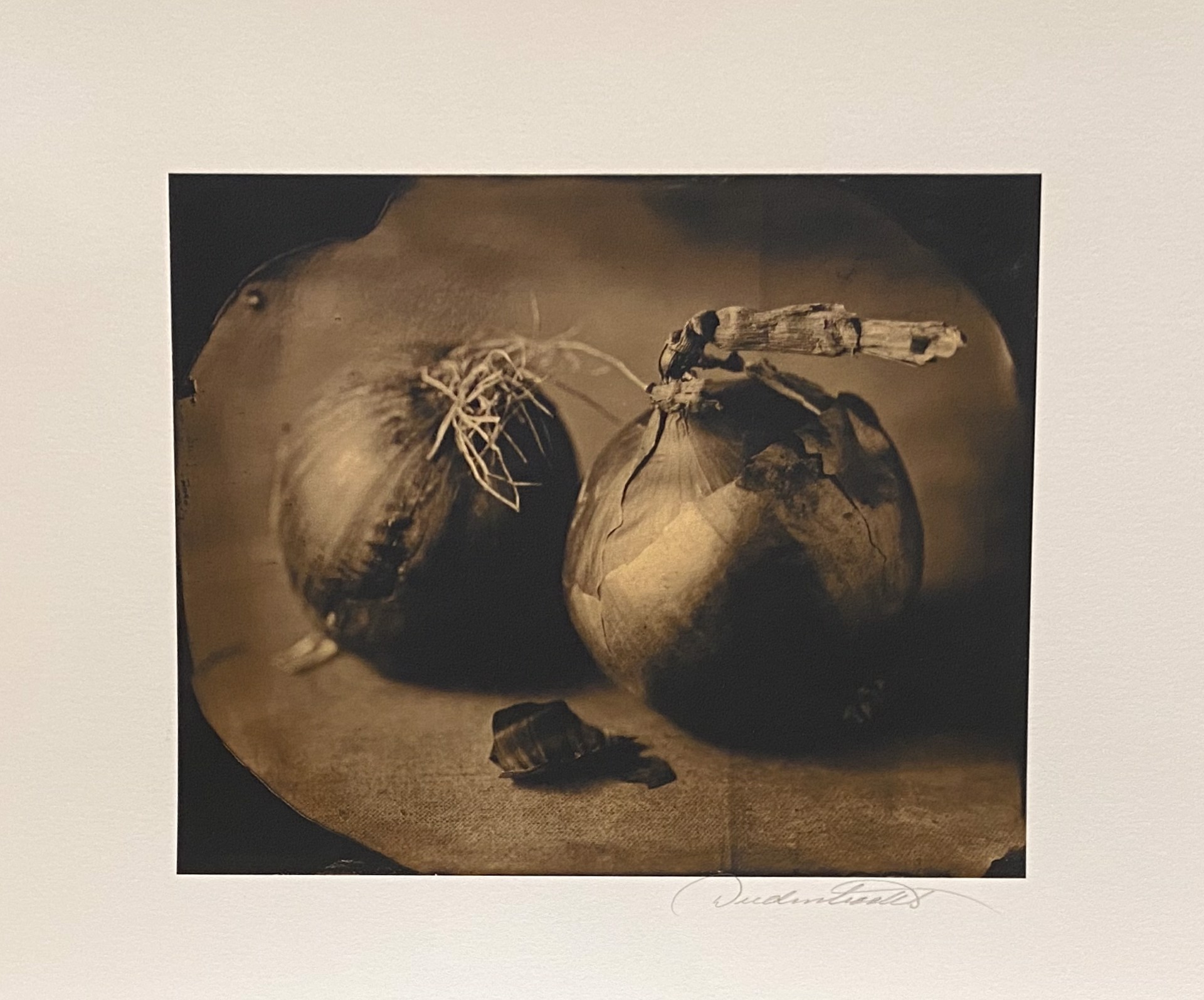 Onions by Don Dudenbostel