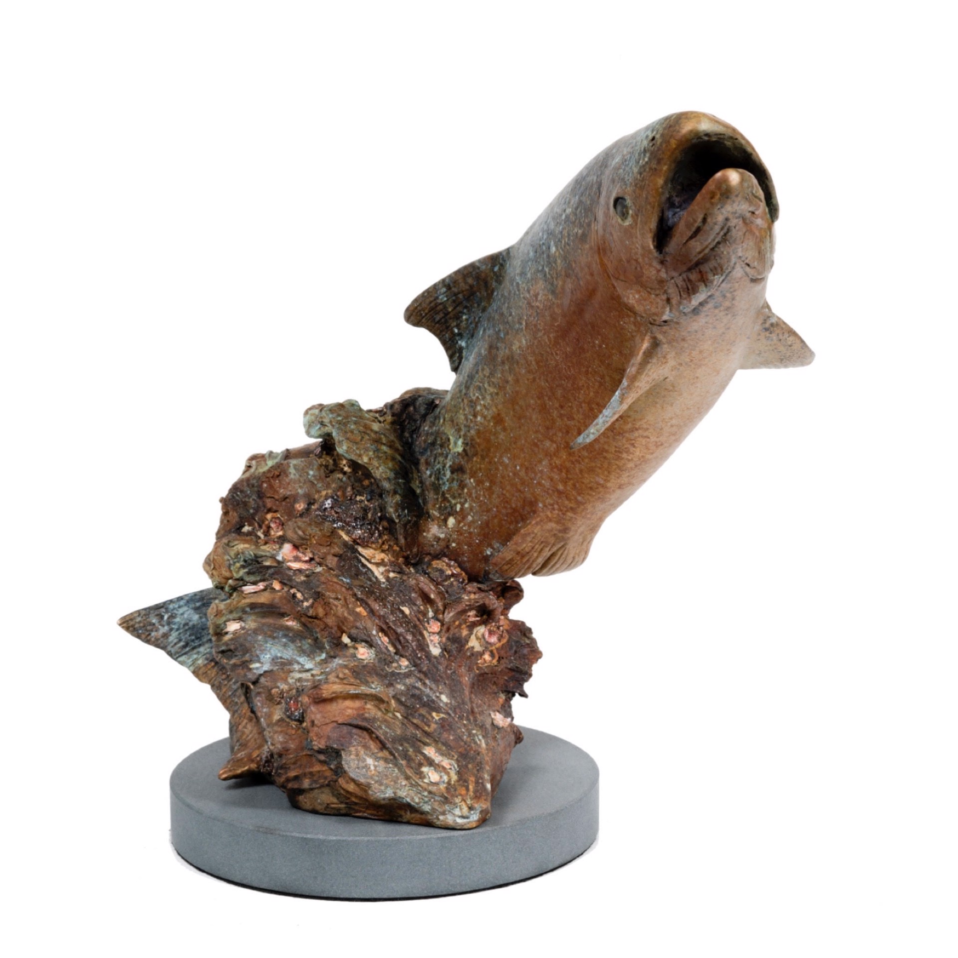 Trout Original Bronze Sculpture by Rip and Alison Caswell, Contemporary Fine Art, Modern Wildlife Art, Available At Gallery Wild