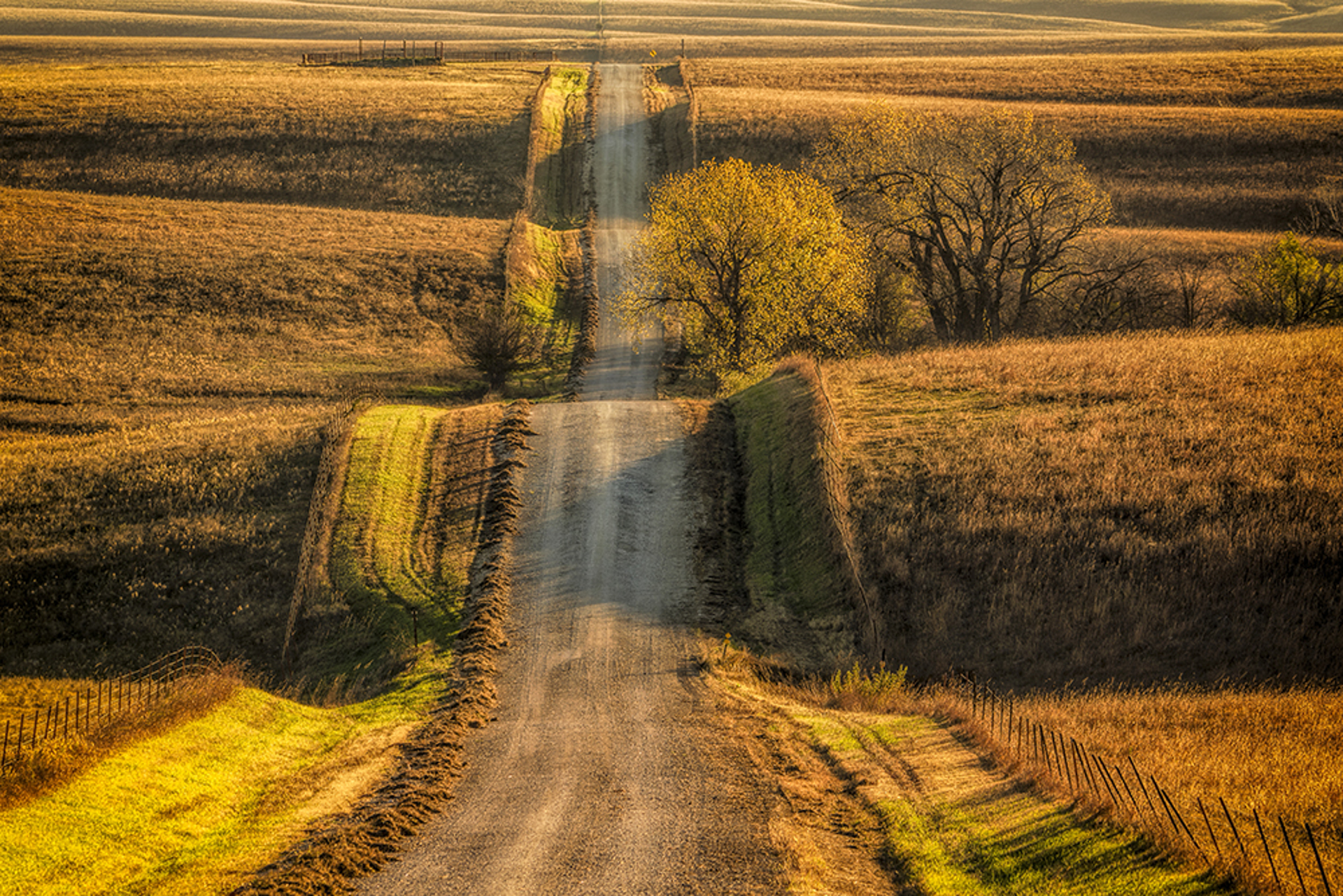 Country Road II by Scott Bean