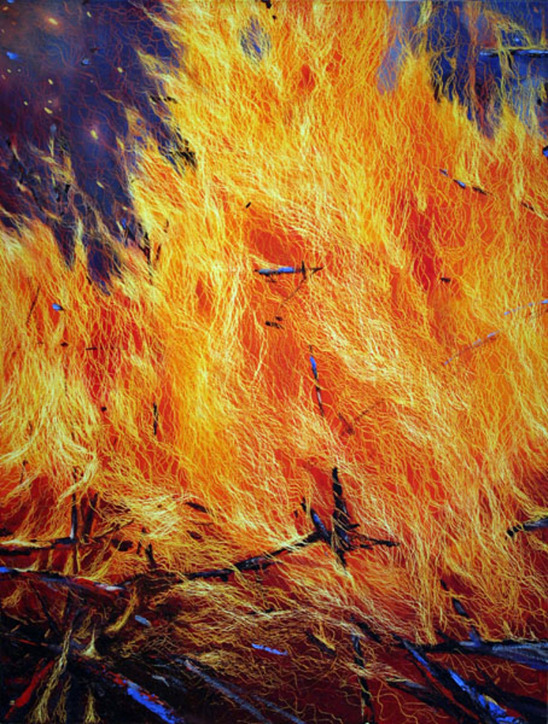 Fire 2008 by Leigh Wen