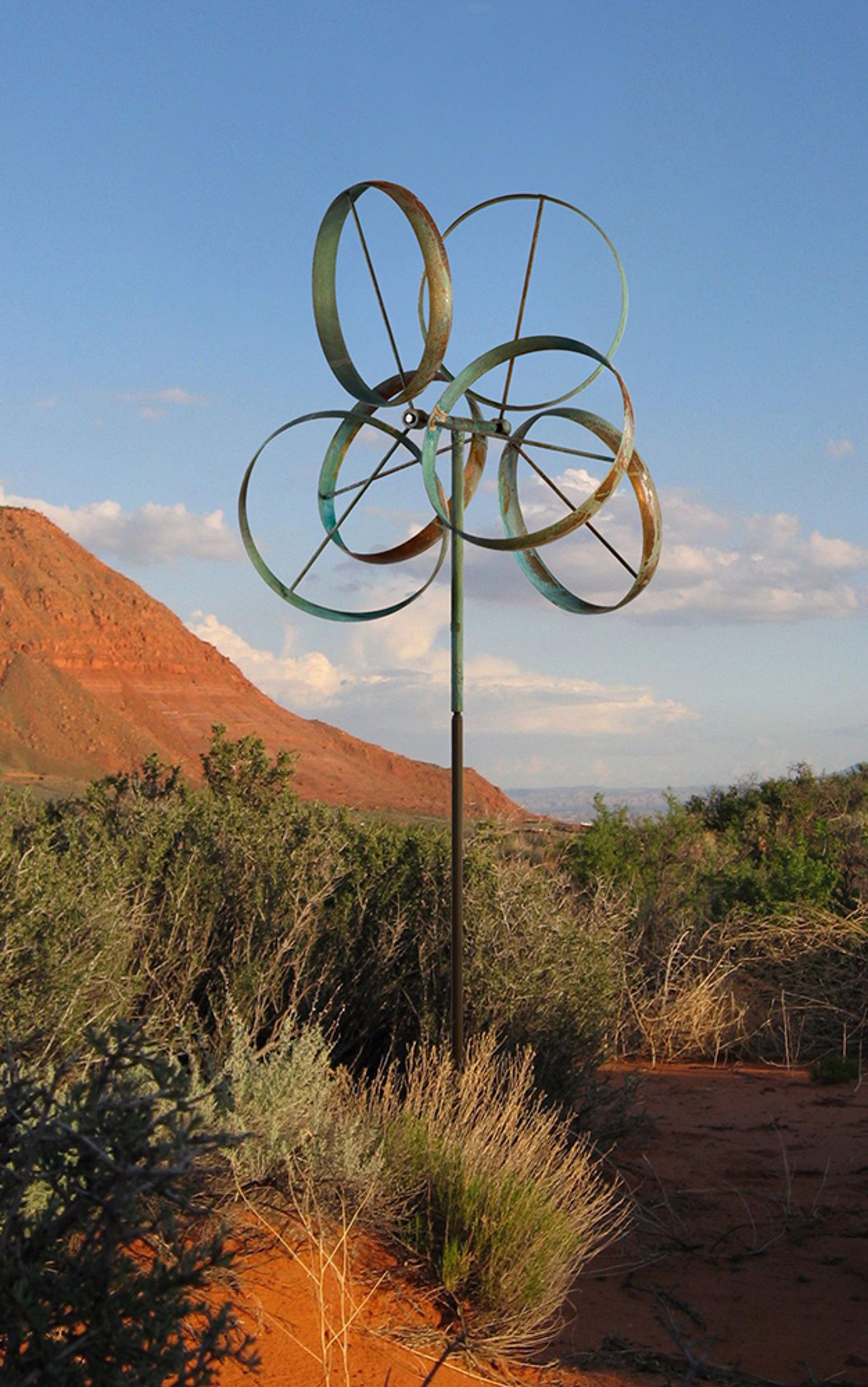 Shamrock by Lyman Whitaker