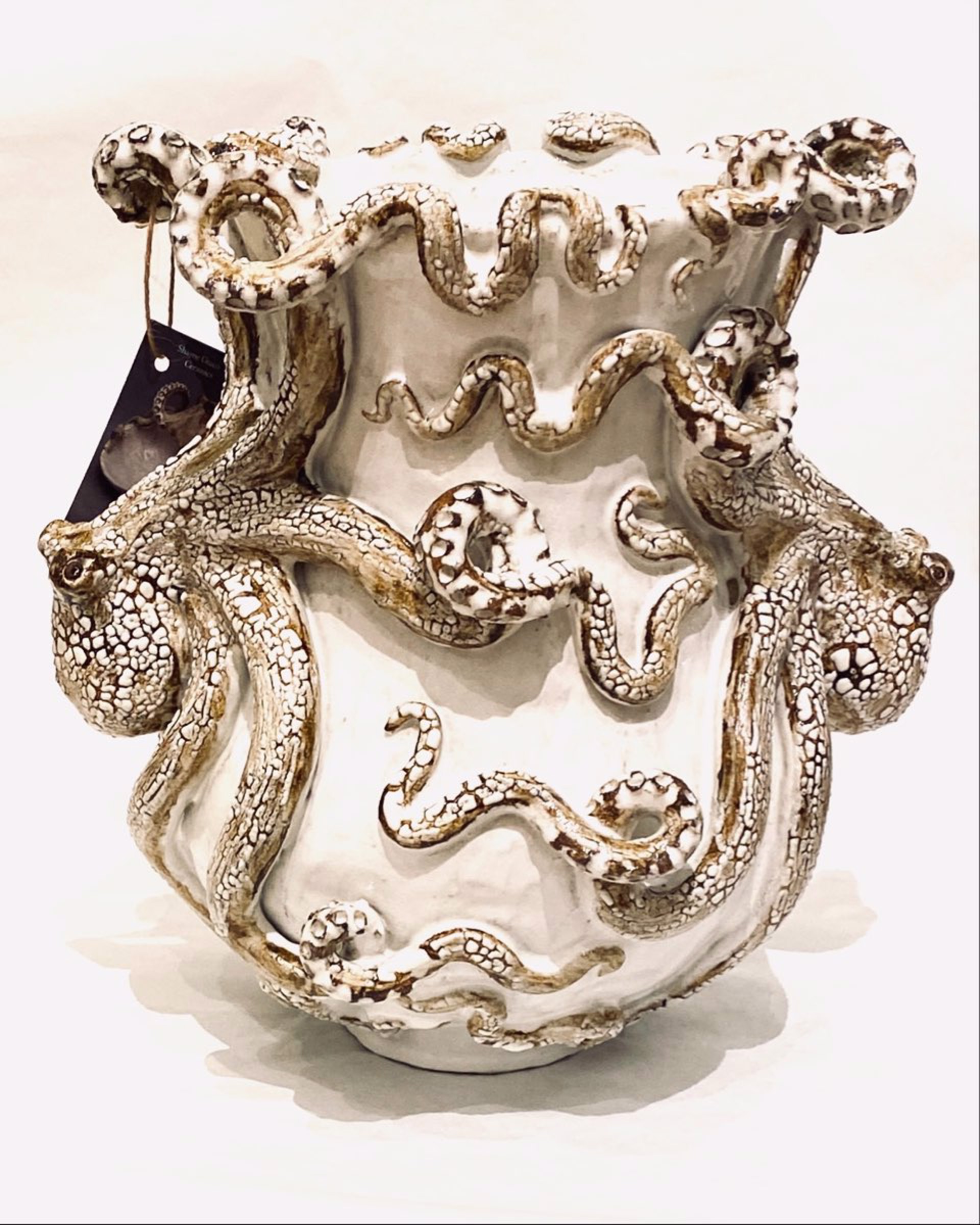 Double Octopus Vase by Shayne Greco